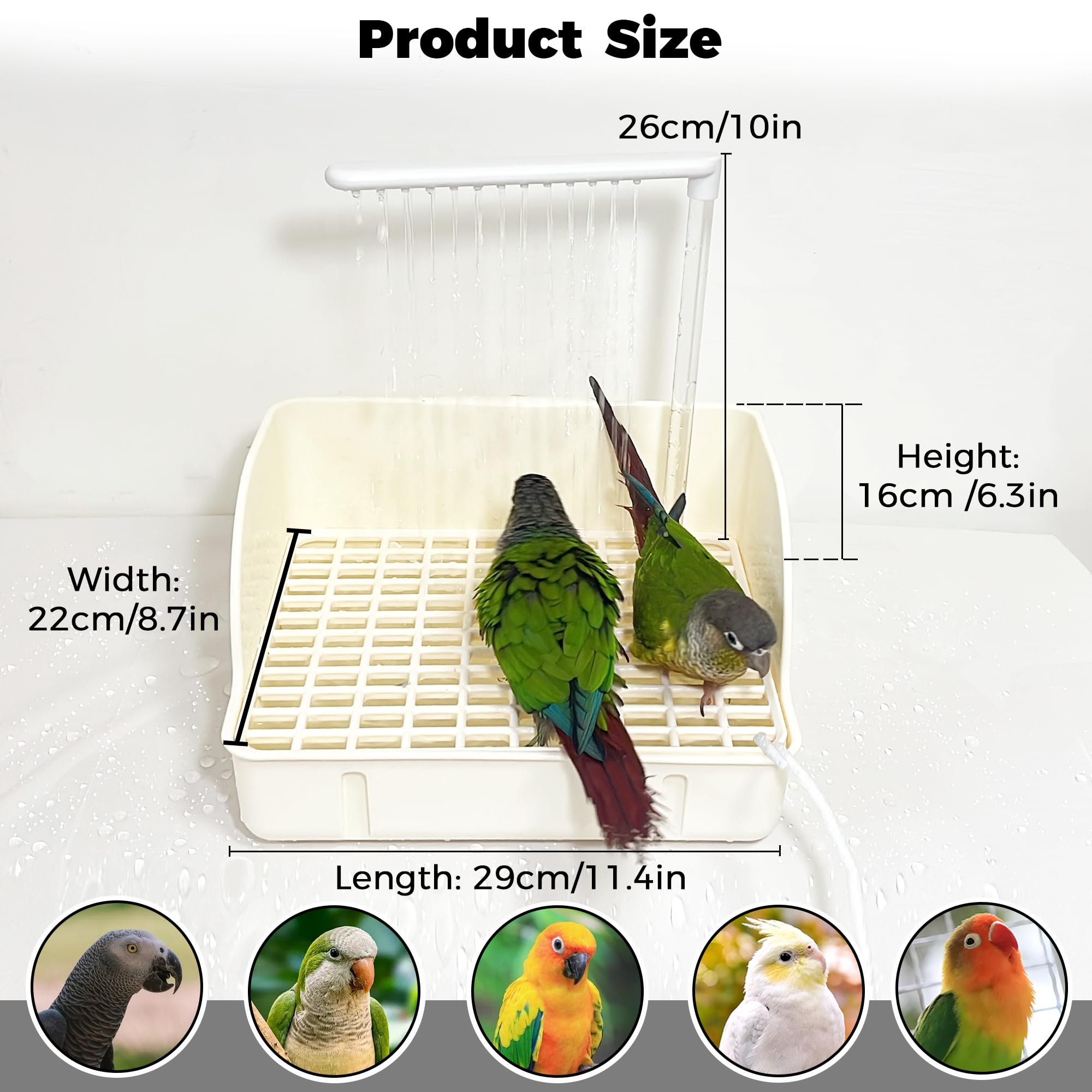 Automatic Parakeet Bird Bath with Pump, Large Bird Shower Fountain Indoor Bathtub with Running Water, Parrot Bath Tub Faucet for Pet Birds, African Grey, Cockatiel, Conure, Budgie, Lovebird - image 6