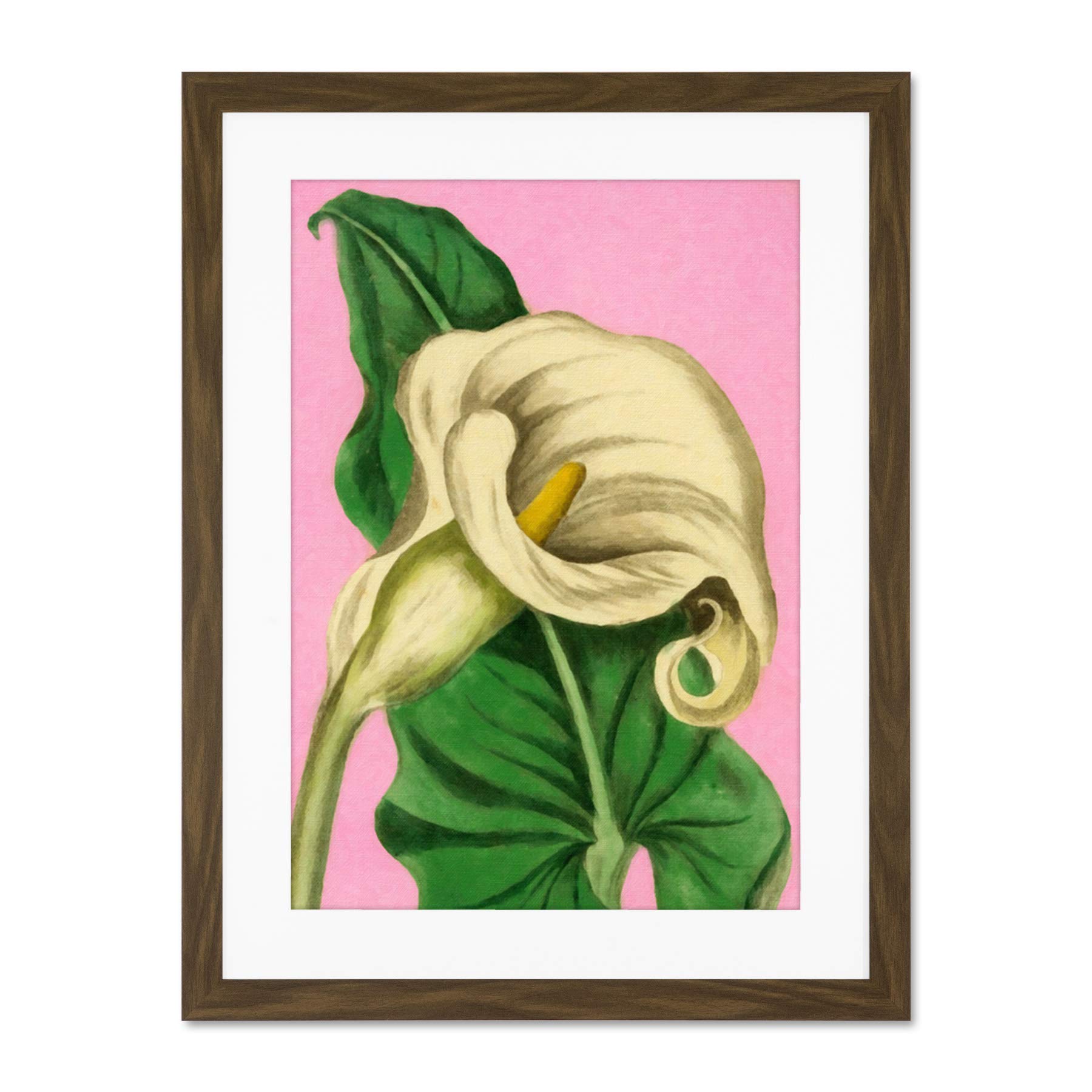 Calla Lily Painting Large Framed Art Print Wall Poster 18x24 inch
