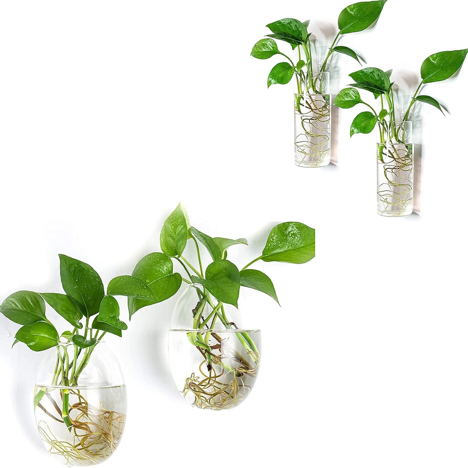 Kingbuy Wall Hanging Glass Planter Flower Vase Plant Propagation Station for Hydroponic Plants Home Office Garden Decor - Egg Shape and Medium Cylinder Shape