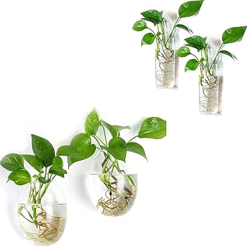 Kingbuy Wall Hanging Glass Planter Flower Vase Plant Propagation Station for Hydroponic Plants Home Office Garden Decor - Egg Shape and Medium Cylinder Shape