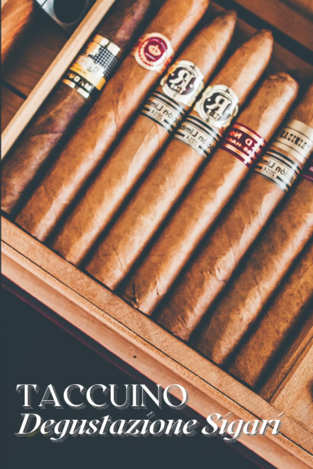 Taccuino Degustazione Sigari: Taccuino di degustazione di sigari da completare | Diario per registrare degustazioni per gli amanti del sigaro | Ideale come regalo | 100 pagine | Dimensioni: 6 "x 9".