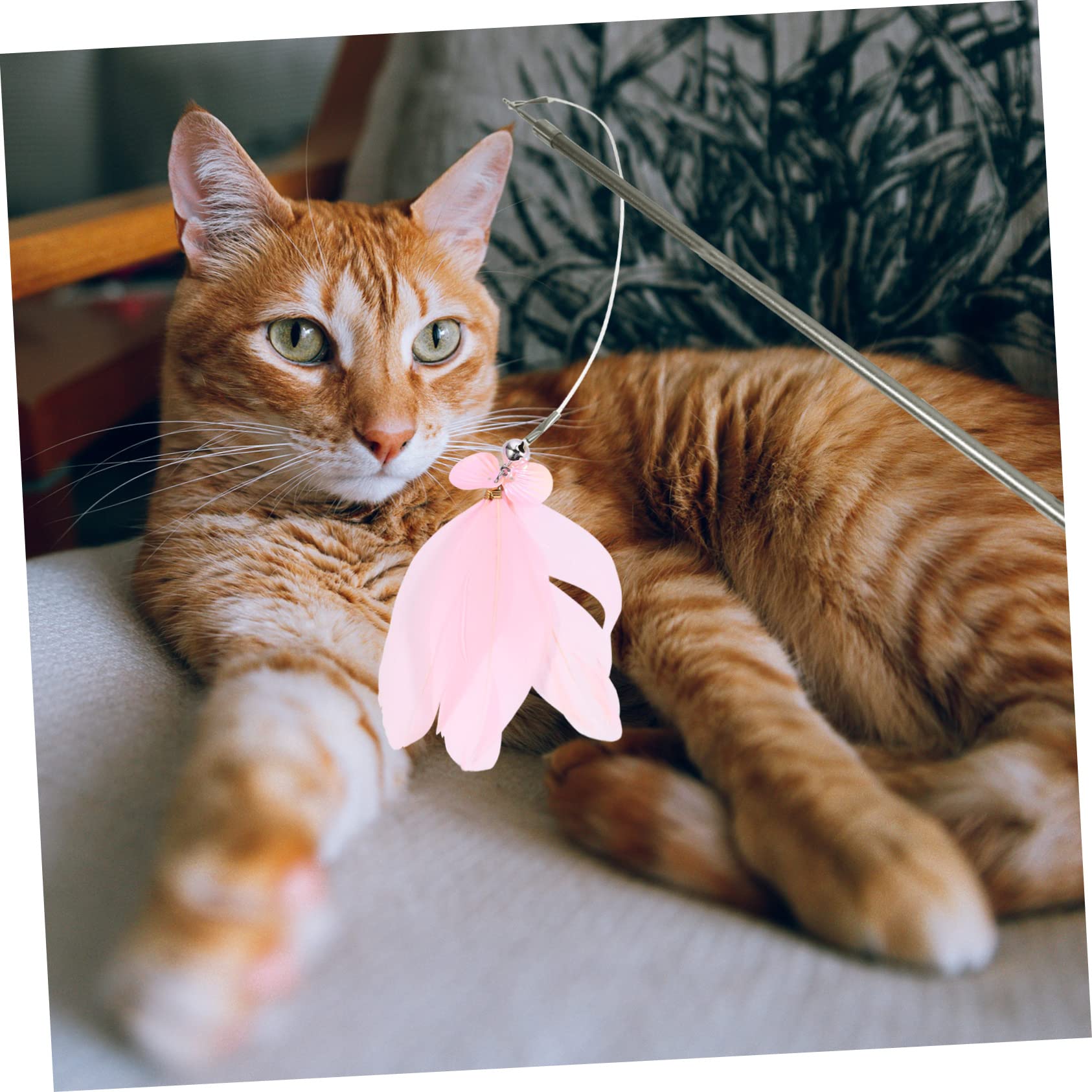Happyyami 3stücke Interaktives Katzenangel-Spielzeug Mit Ersatzfedern Teilige Teleskop-Stange Für Katzenunterhaltung Gewichtsreduktion Und Gesundes Spielen