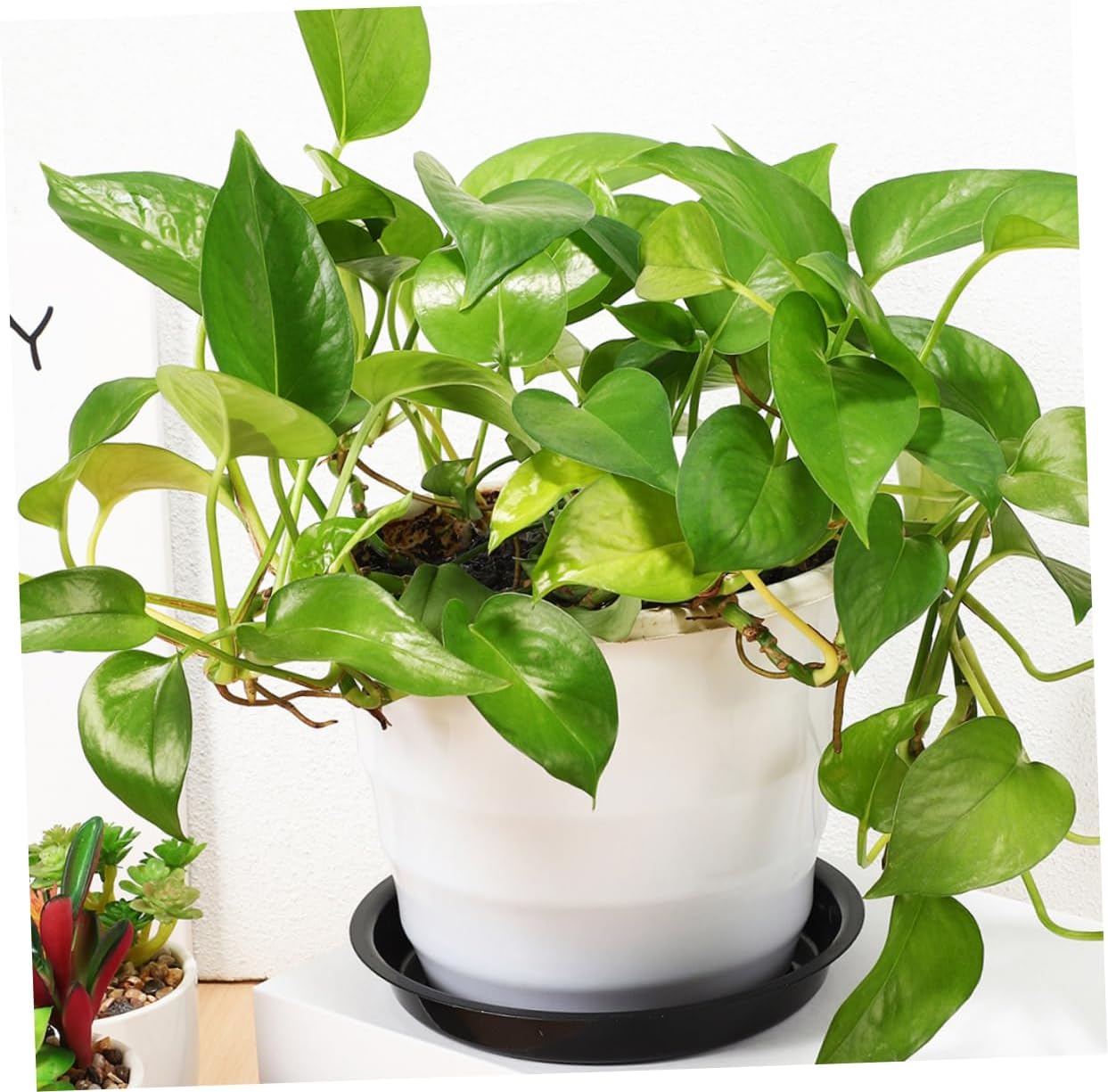 balacoo 80pcs Plant Trays for Pots Round Plant Saucer Flower Pot Water Tray Plastic Garden