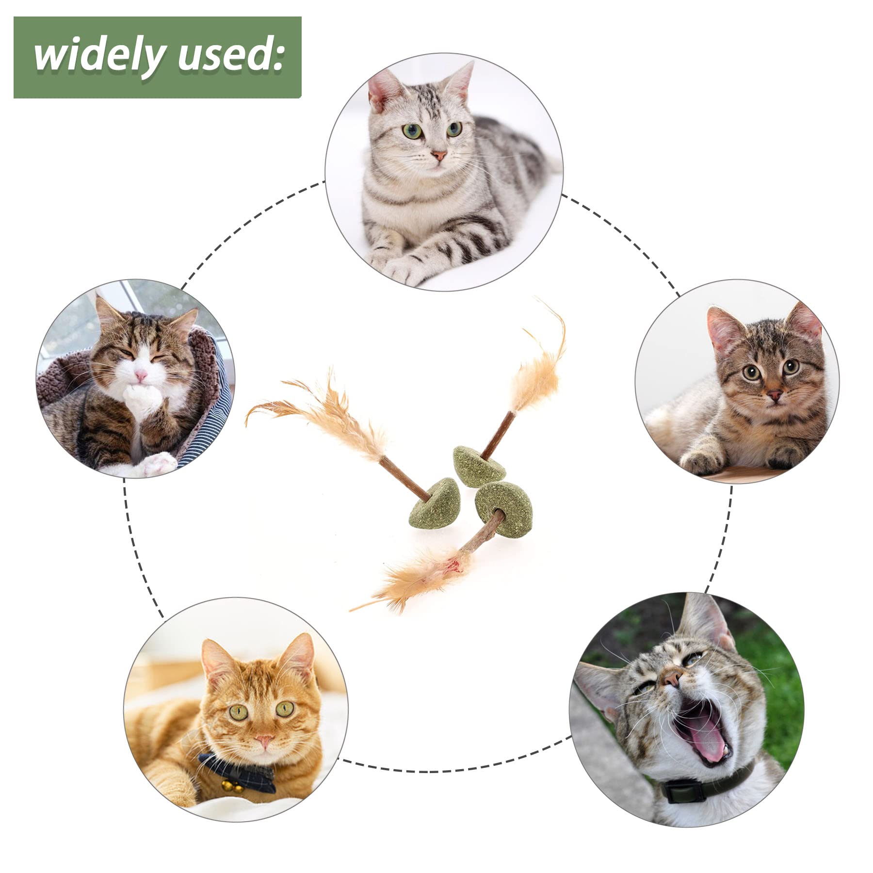 OSDUE Giocattolo Catnip Per Gatti, 3X Peluche Cuscini Erba Gatta Giocattolos Interattivo Giocattolo Morbido E Resistente Per Gatti Bastoncini Da Masticare Pulizia Denti Molari Giochi Gattis - 2