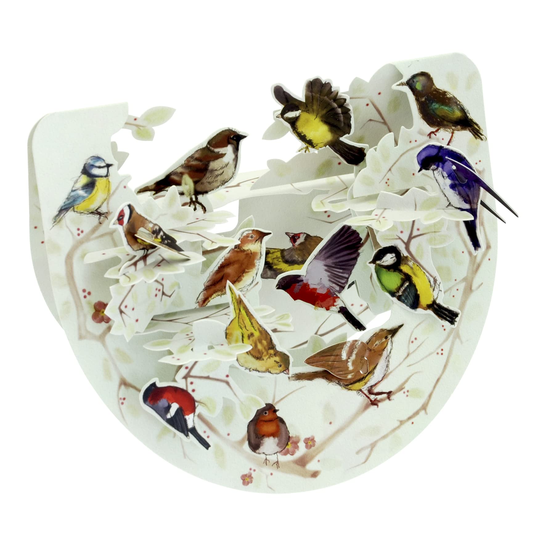 Santoro Women's Green|Grey|White|Red Popnrock, 3D Pop Up Greeting Card - Garden Birds - For Her, For Him, Birthday, Anniversary