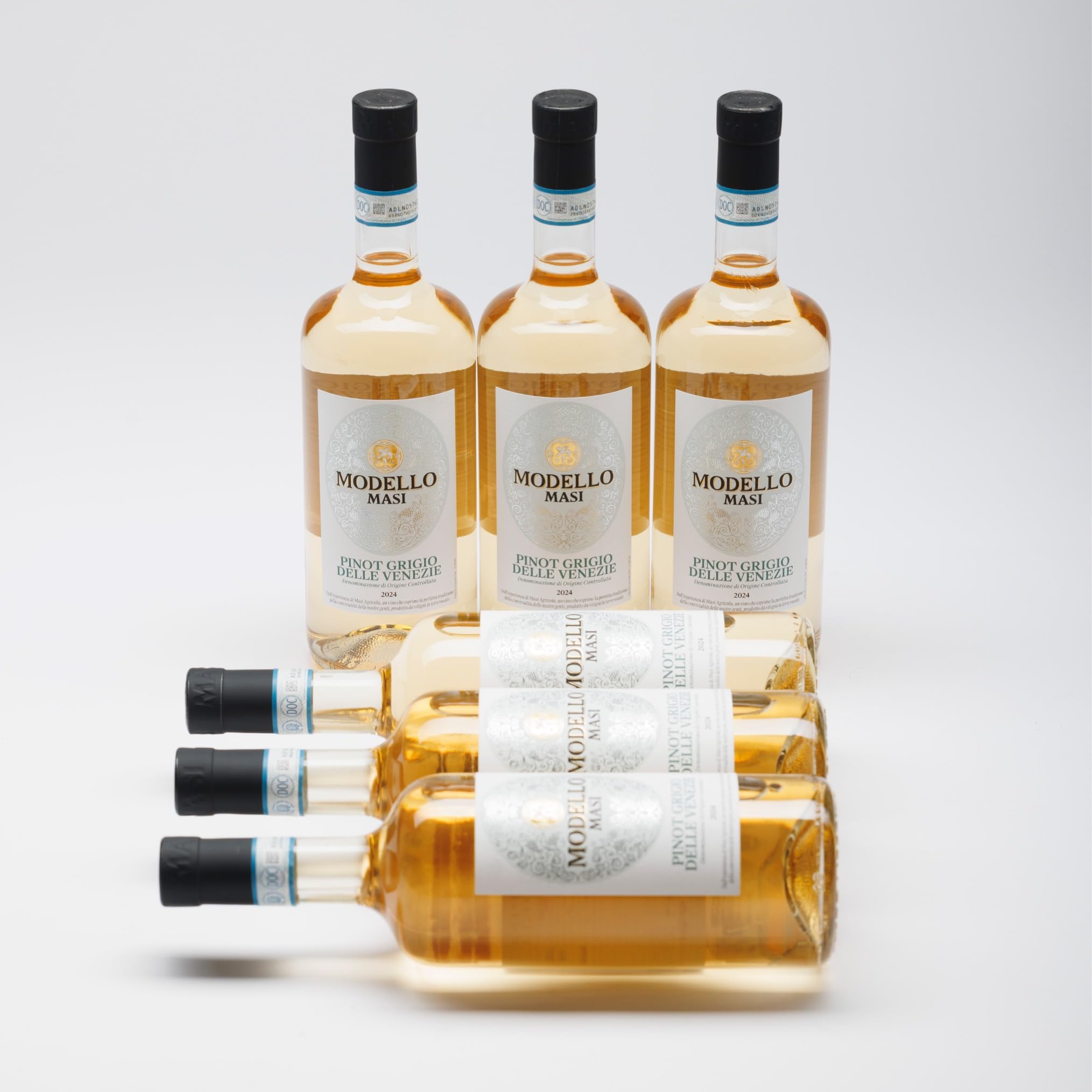 MASI "MODELLO PINOT GRIGIO" 2024 | Pinot Grigio delle Venezie DOC | 6x750 ml | Caja de 6 botellas