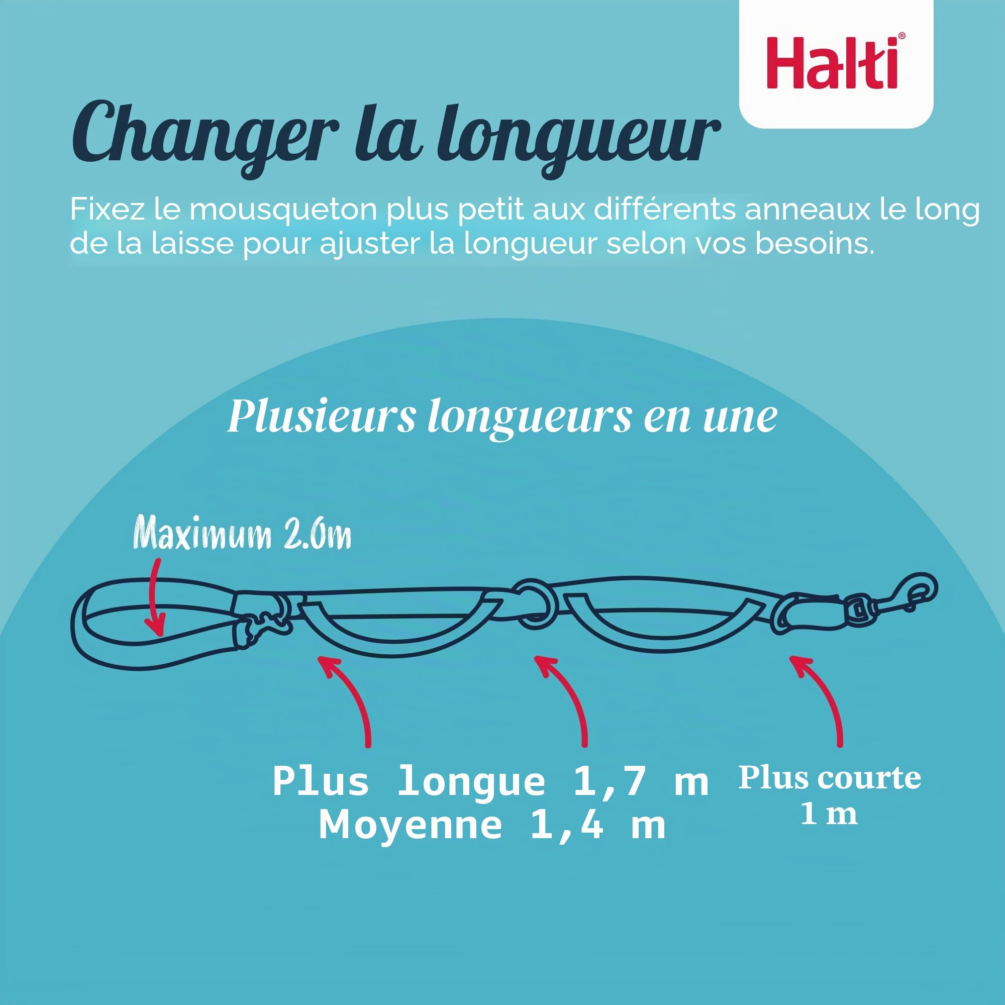 Laisse de contrôle HALTI, Noir, 2m, 2 poignées conçues pour vous aider a éduquer et promener votre chien, Rembourrée, Laisse de Dressage de Chien à Double Extrémité pour chiens et chiots