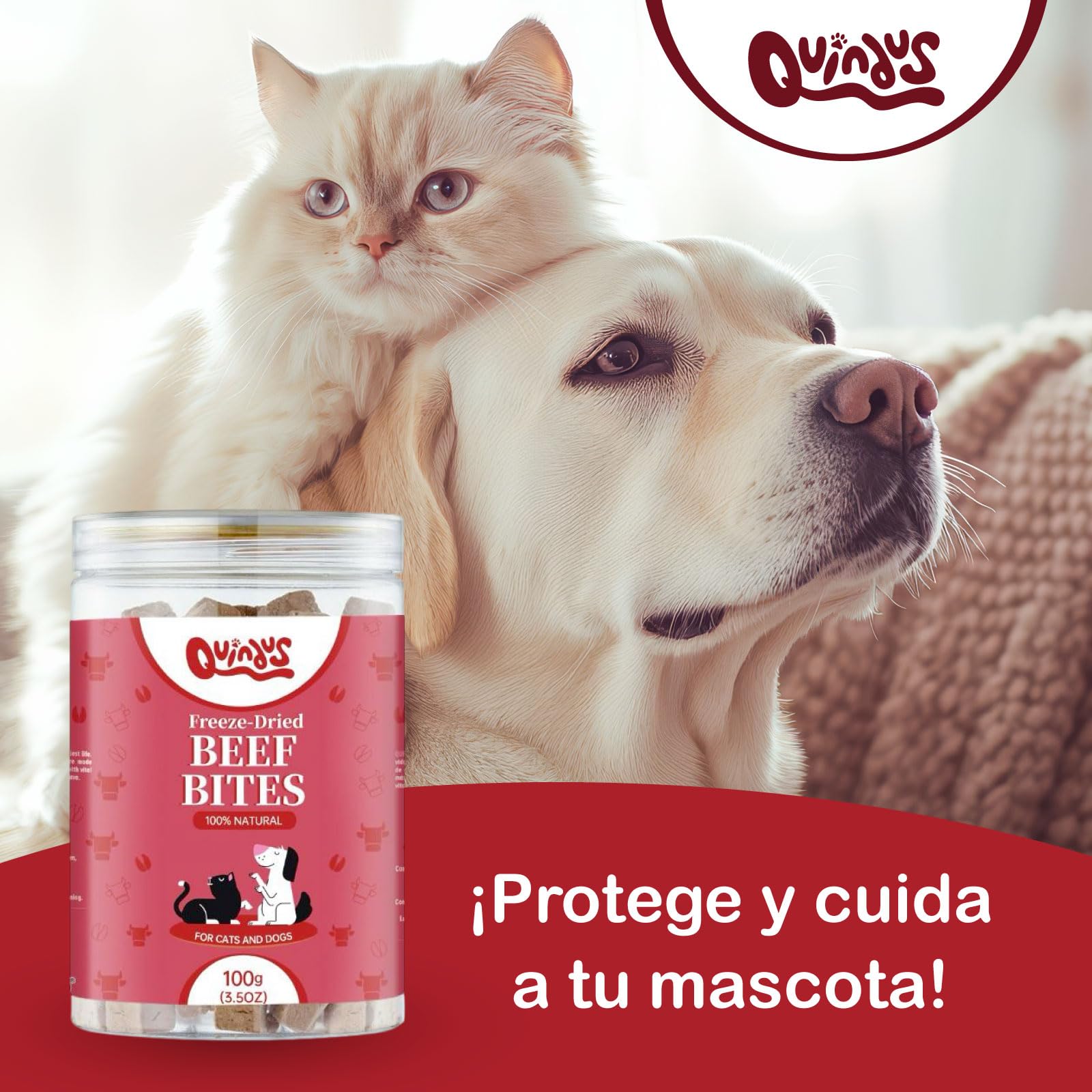 QUINDU'S - Morsi di carne di manzo disidratati per cani e gatti (100 g x 3) | Snack naturale con proteine e sostanze nutritive | Integratore alimentare per pelle e pelliccia | Dieta Barf | Gusto Bue