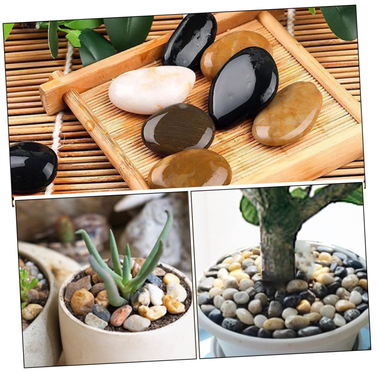 BESPORTBLE 2taschen Natursteine Für Aquarium Und Garten Bunte Kieselsteine Für Pflanzen Vasen Und Dekorationen Für Und Aquarien-