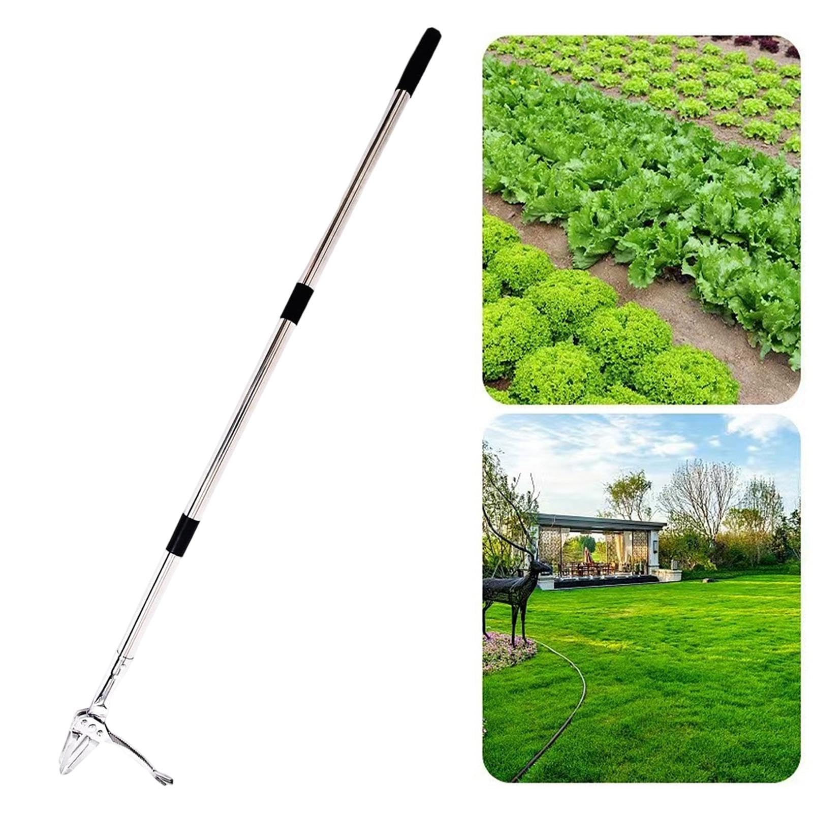 Unkrautstecher Unkrautentferner Wurzelstecher Jätwerkzeug Gartenjäter mit Langem Stiel Zum Jäten Im Stehen für Die Mühelose Unkrautbekämpfung Im