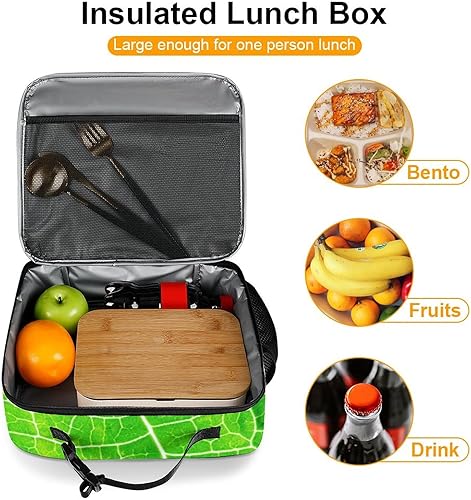 Miniatura 7 de Lonchera reutilizable con diseño de rana verde, bolsa de almuerzo aislada, lonchera para comida y alimentos, bolsa de mano para niños, escuela,