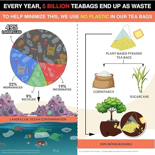 Vista 263 de BREWIX Bolsas de té de albahaca sagrada (15 bolsas de té piramidales) Camiseta con hojas de tulsi y manzanilla Sin cafeína, té de hierbas