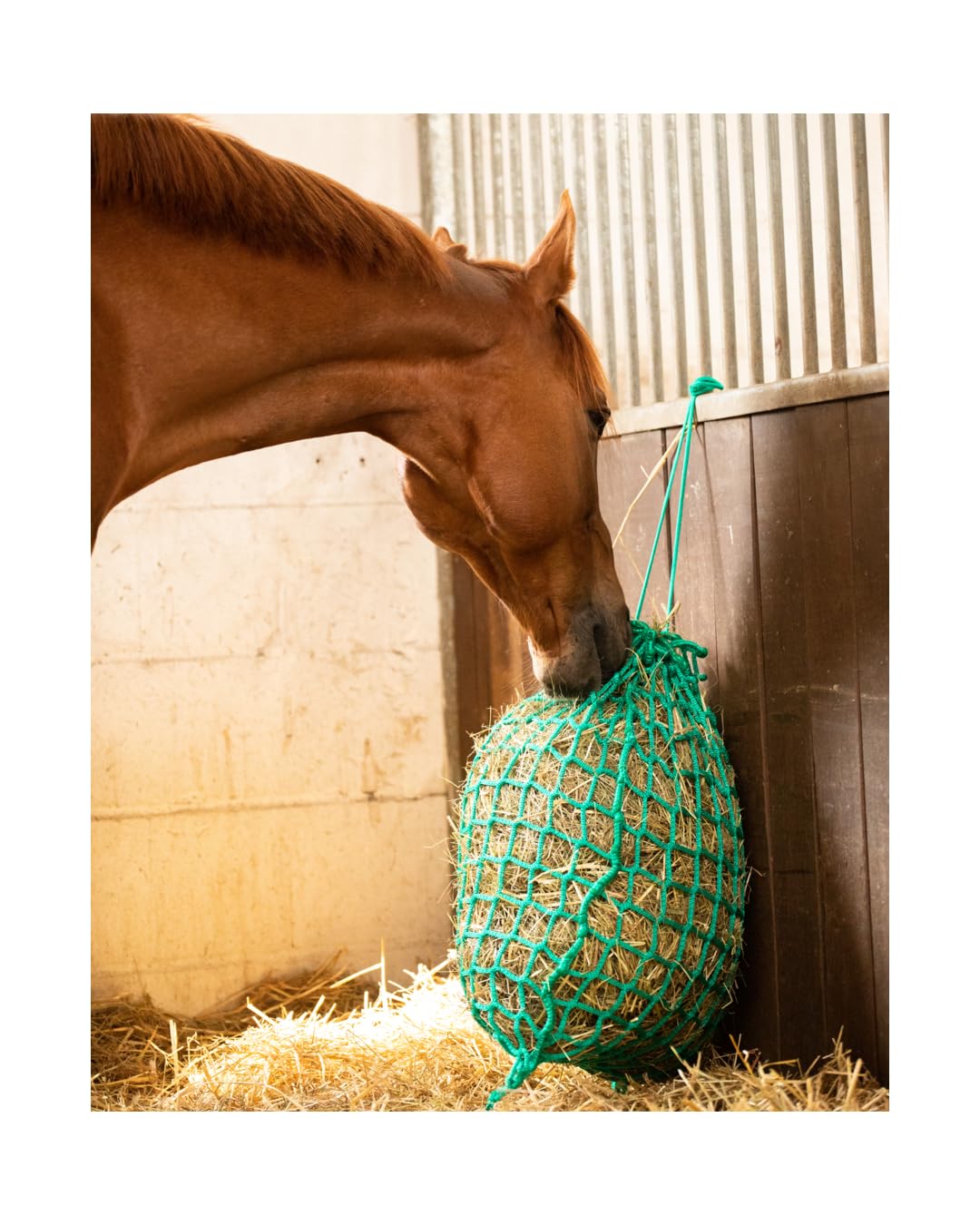 4Horses Knotenloses Heunetz Pro Lima für Pferde, engmaschiges Futternetz zur kontrollierten Futteraufnahme, reißfest und langlebig, ideal für Stall und Weide