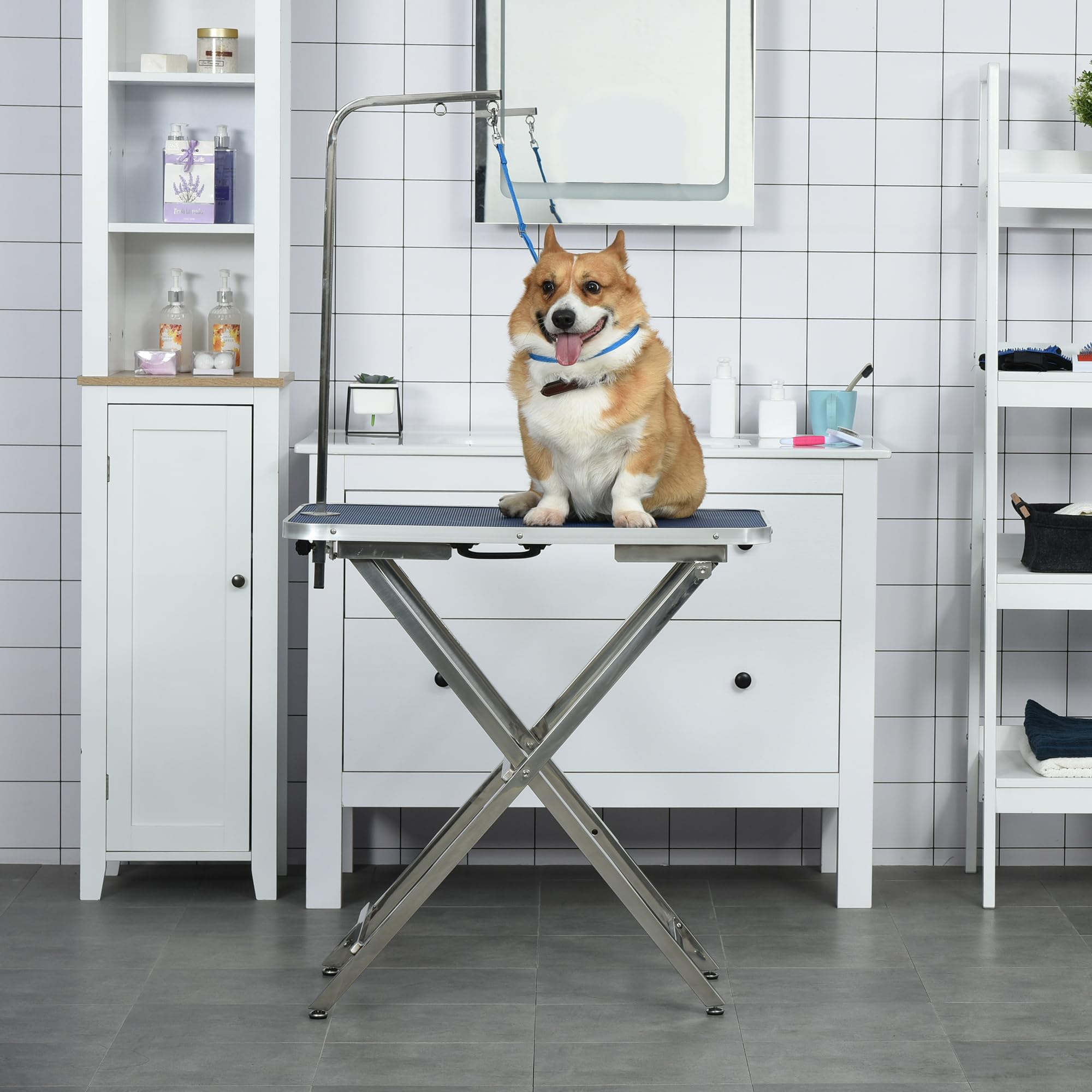 PawHut Table de toilettage Hauteur réglable, plateau antidérapant, pieds pliables en acier inoxydable, poignée et bras ajustables 72x45x74-81 cm Bleu