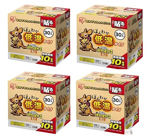 ۂۂƑ ɍœK ق킩ቷJC \ ~j 30 XIWiJ[ht (4)