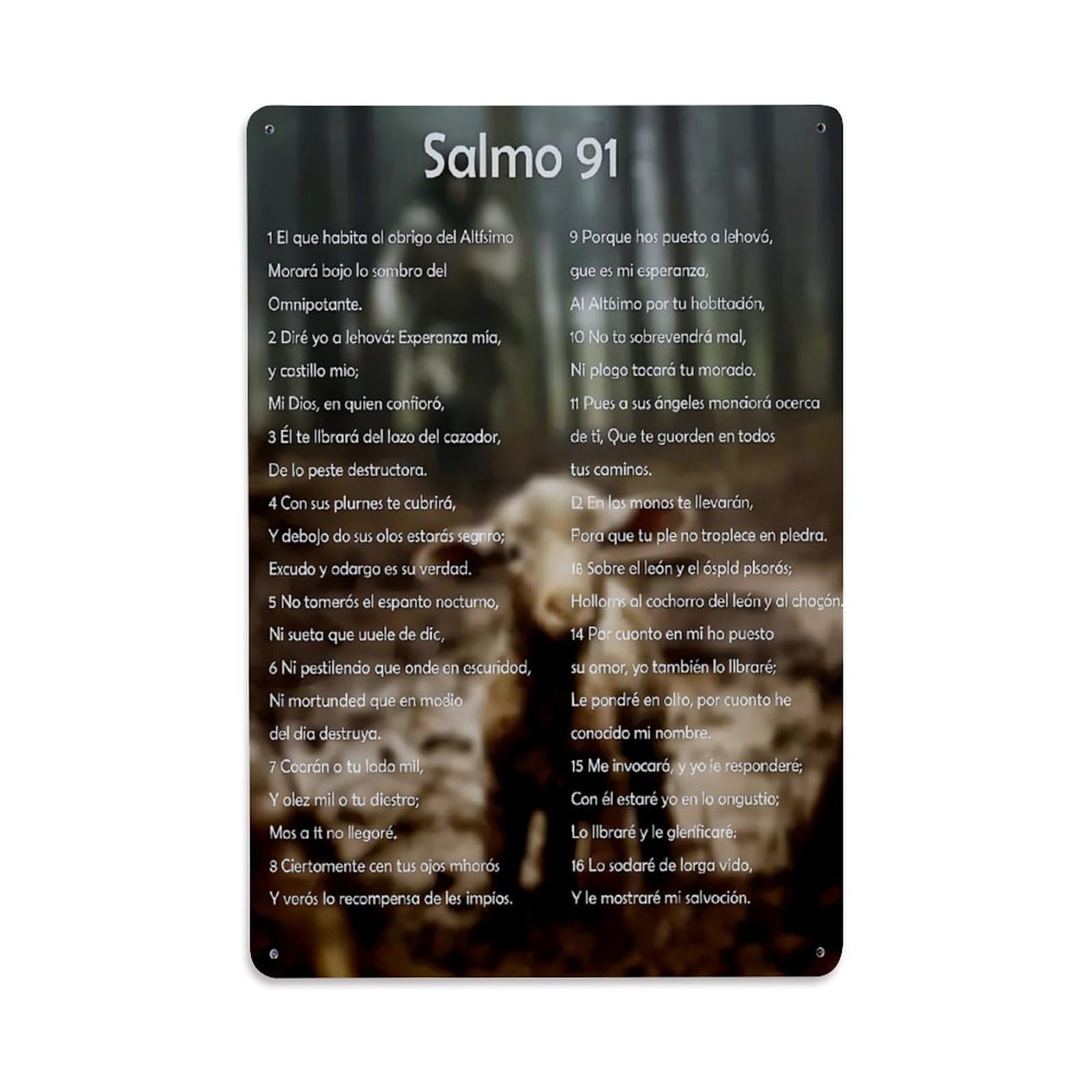 Salmo 91 Text Background Pattern Retro Metal Tin Sign, Vintage Decor Art Poster for Bar, Home, Man Cave, Kitchen, Laundry Room Gift 8x12Inch