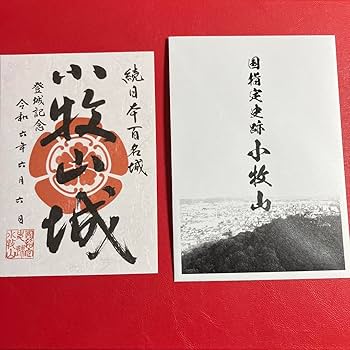 限定！唐沢山城御城印セット 唐沢山城の御城印】どんなの？受付時間・受付場所もサクッと紹介