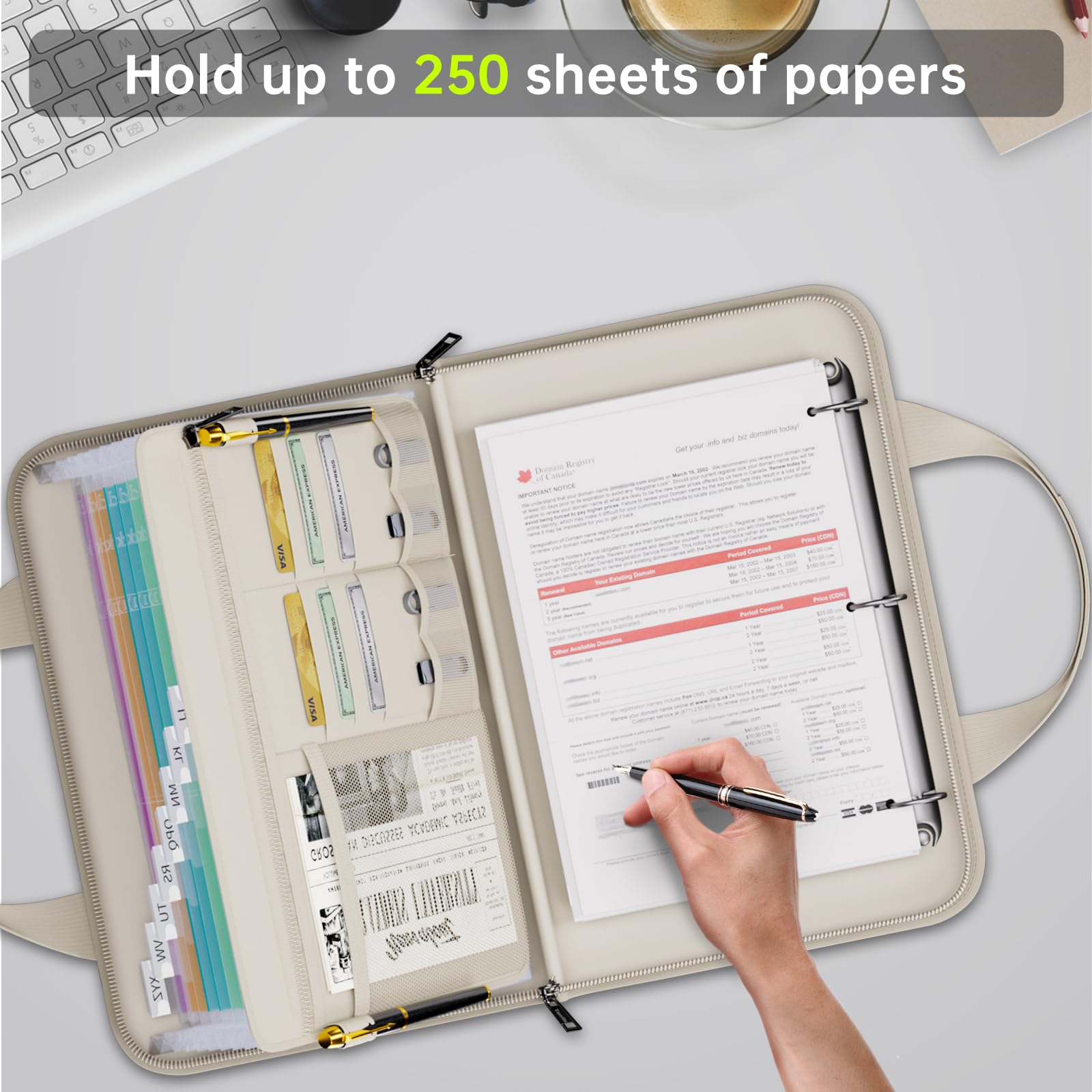 Organiseur de fichiers accordéon ignifuge avec poignée, 13 poches extensibles avec fermeture éclair et étiquettes, classeur à 3 anneaux, classeur multi-poches pour dossiers A4 (beige)