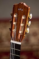 Vista 9 de Cordoba C1M-CE - Guitarra clásica electroacústica con cuerdas de nailon, Serie Protégé, Natural