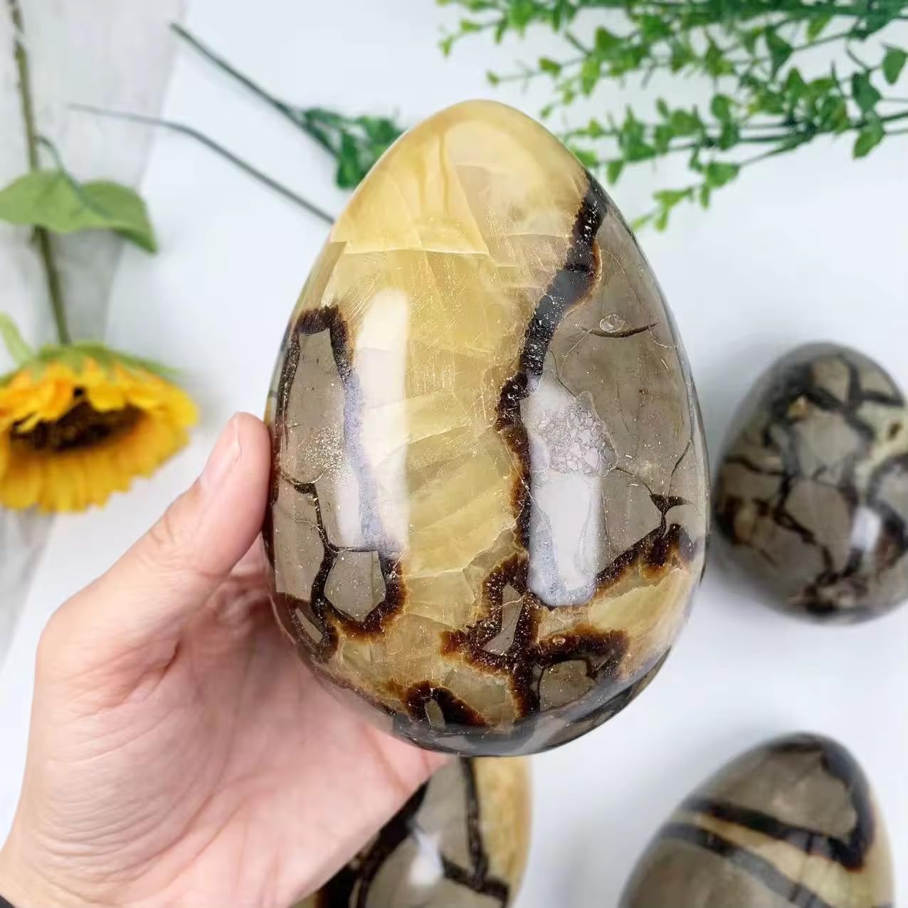 Madagascar Septarian Dragon Egg, Polished Natural Crystal Specimen for Grounding and Balance, Unique Septarian Egg for Altar Decor and Healing (4-4.5LB)