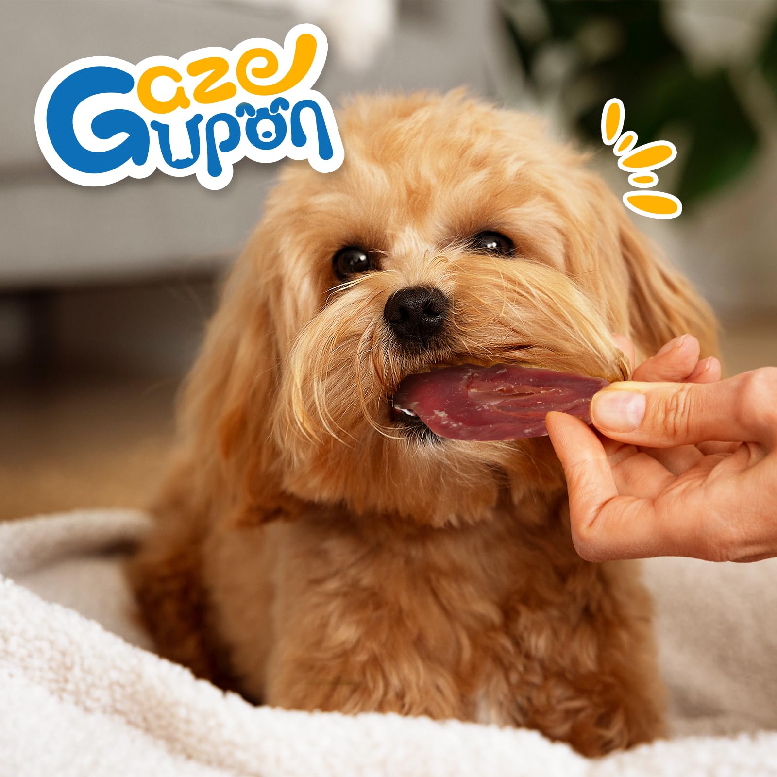gazeupon Anello Anatra per Cani
