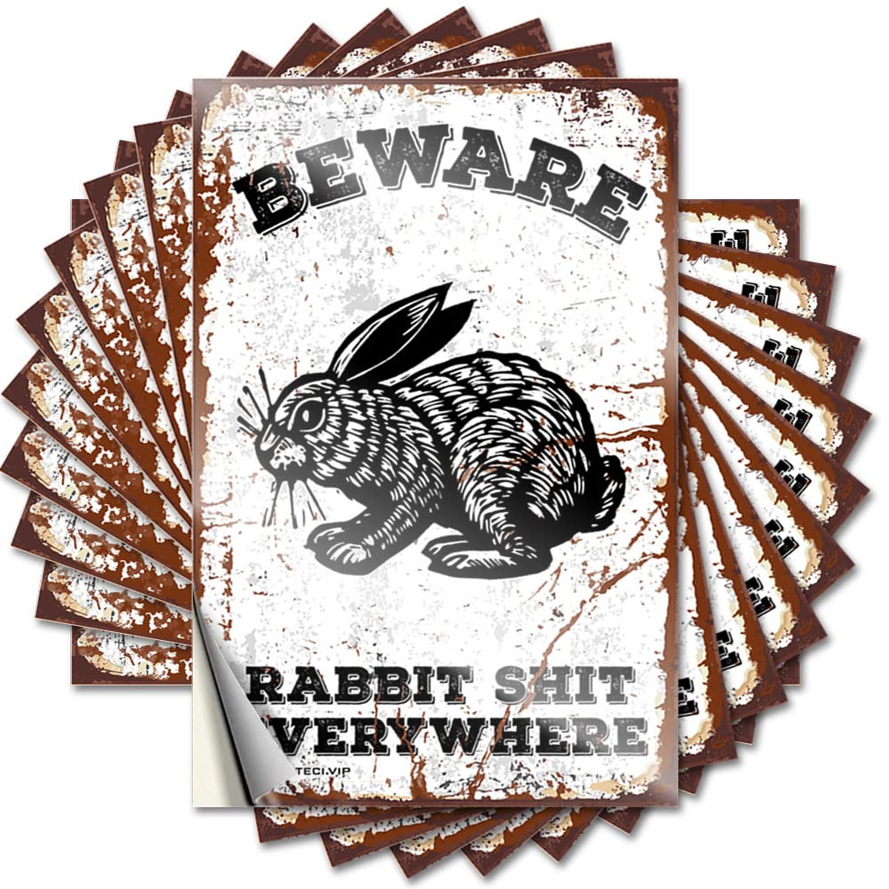 Lake Case Stickers - Beware Rabbit Shit Everywhere Fire Durable Sticker Easy Apply for Spring Decor(6X9CM)