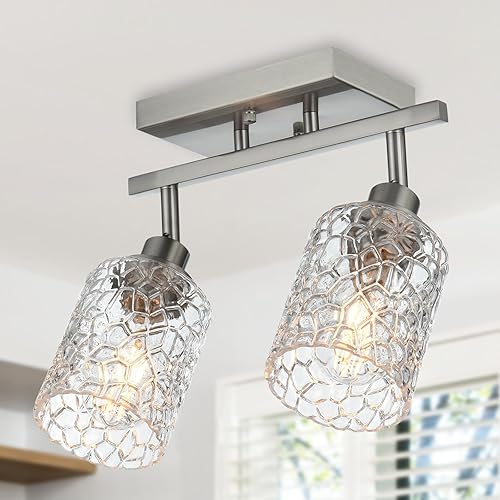 VINLUZ 2-Light Brushed Nickel Directional Spotlight Track Lighting Kit with