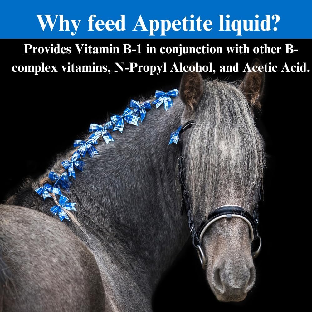 SU-PER Appetite Supplement for Horses - Equine Appetite Booster Liquid Feed Supplement - Vitamin Support for Healthy Appetite - 1 Gallon, 4 Months Supply