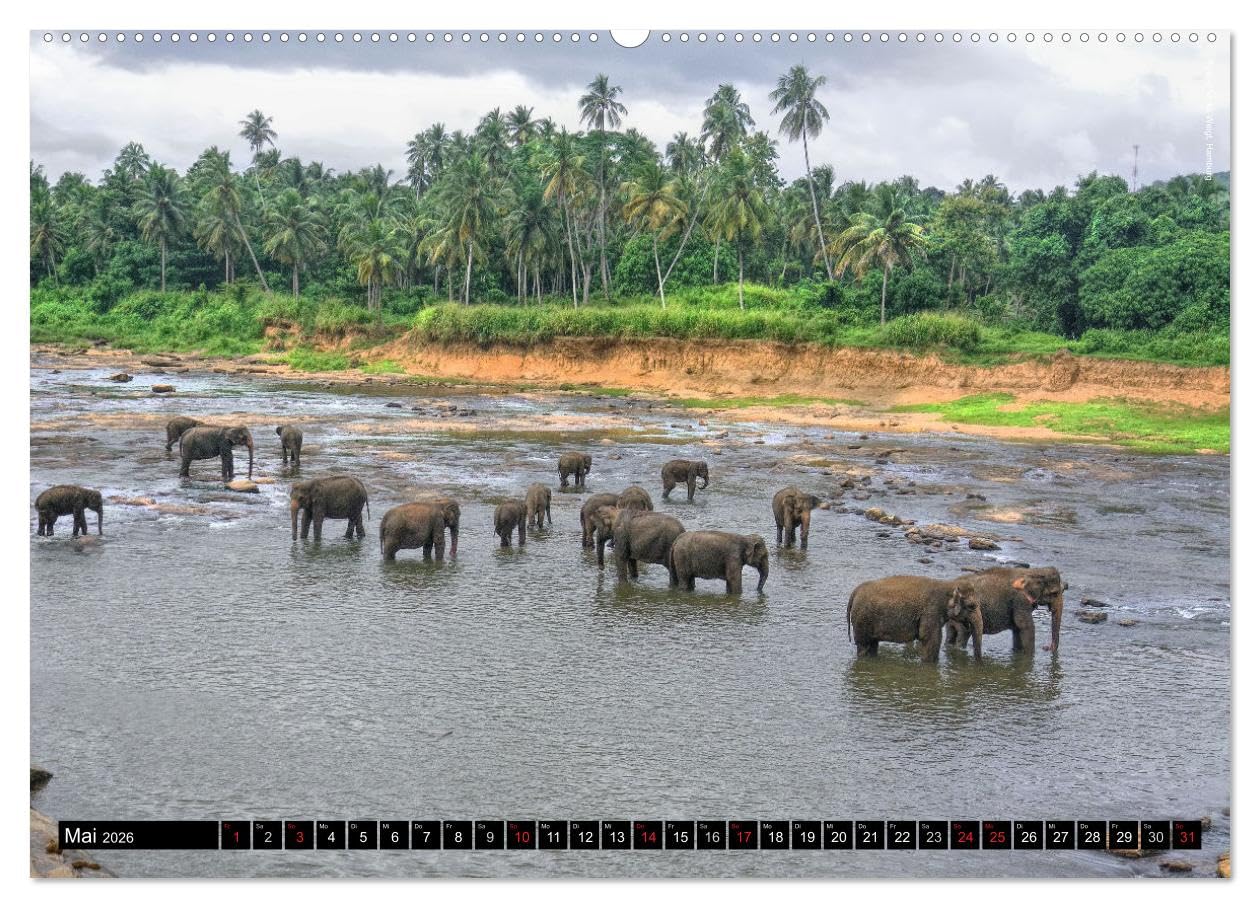 Sri Lanka 2026 – Exotische Welt (hochwertiger Premium Wandkalender 2026 DIN A2 quer), Kunstdruck in Hochglanz: Beeindruckende Naturlandschaften und ... in hochauflösenden Bildern (CALVENDO Orte)