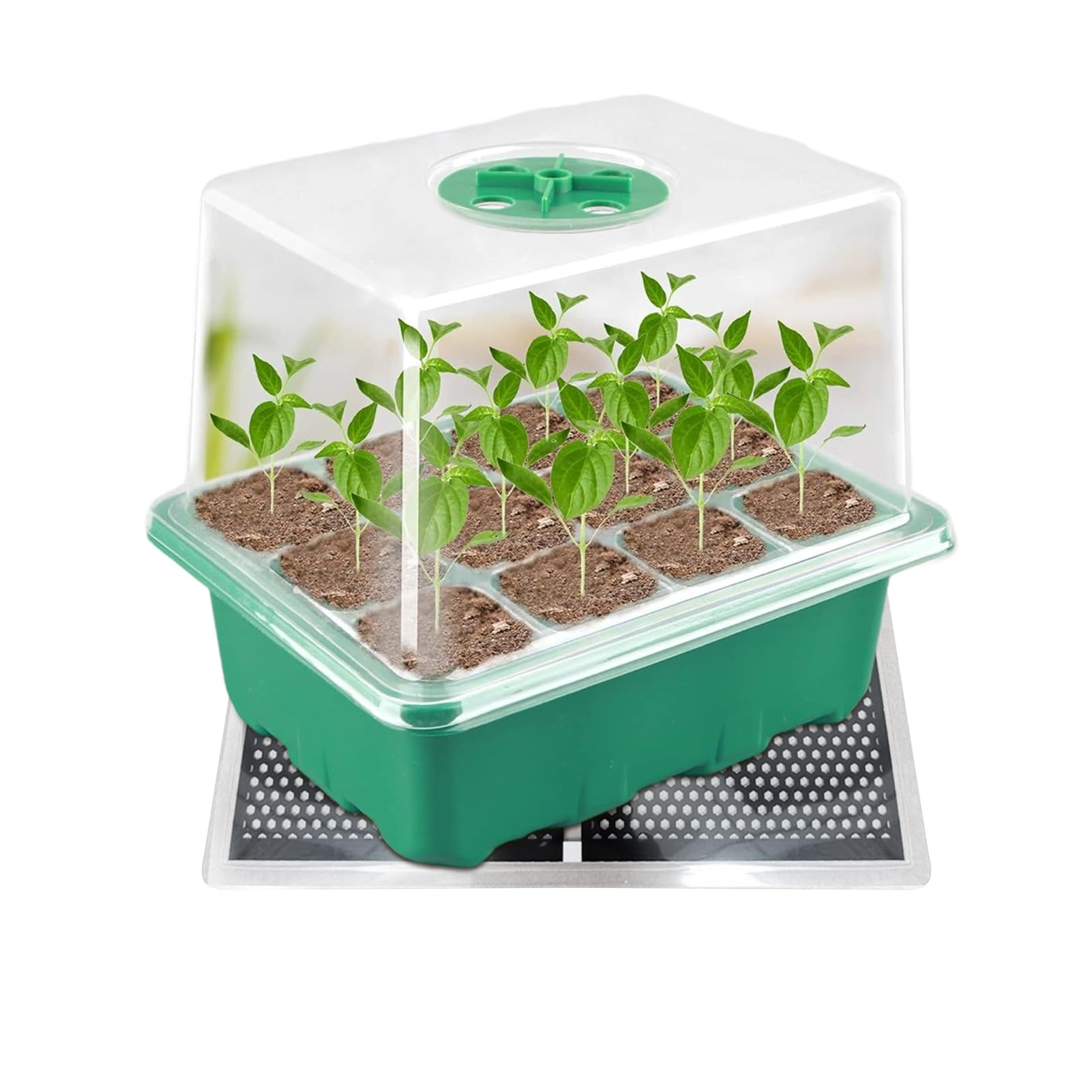 Tappetino Riscaldante Per Terrario Riscaldatore Istantaneo Regolabile per | Riscaldatore Acquario Serpente Granchio Tartaruga Per Ragni Lucertole Rane Acquario Piante Rettili
