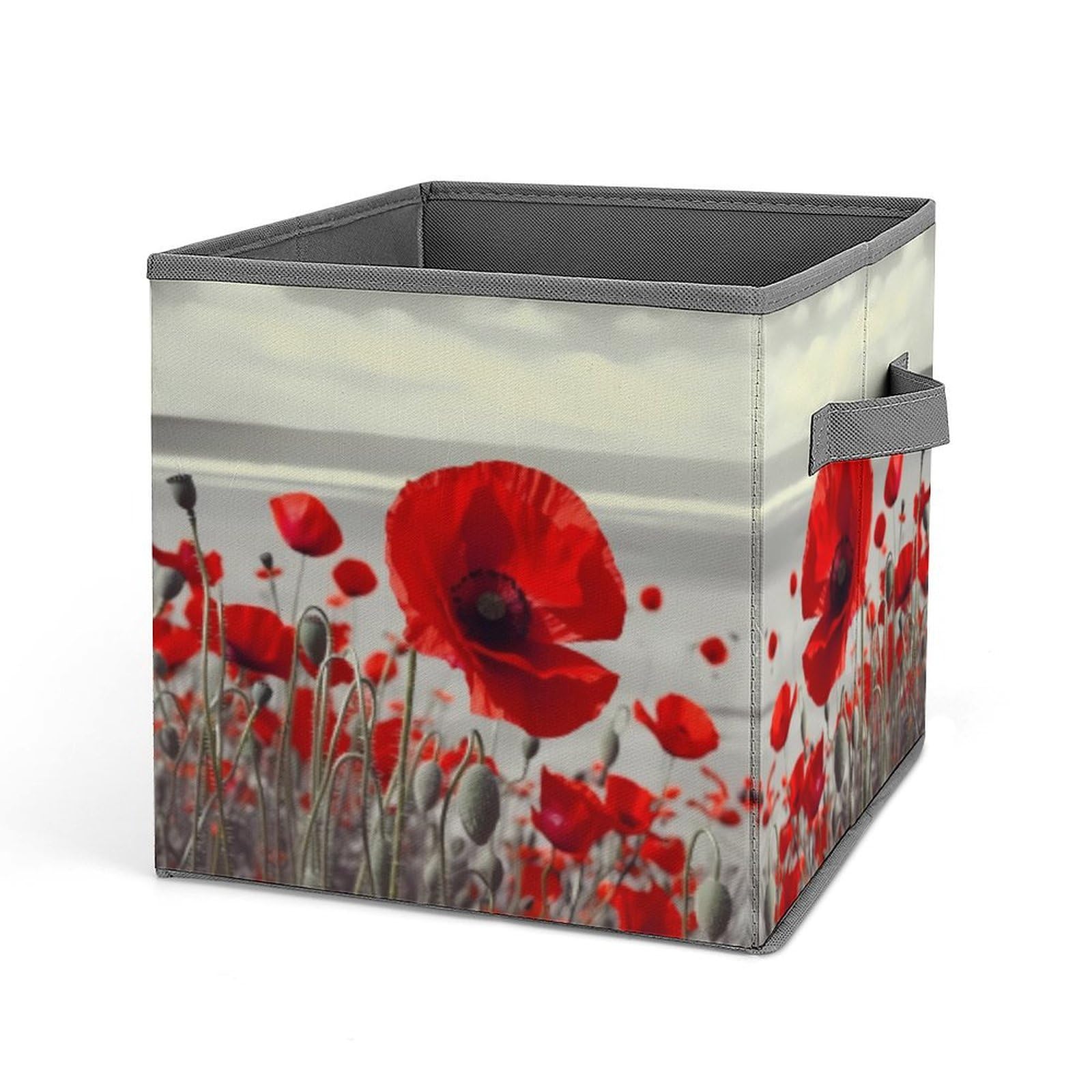 Cubes de rangement pliables contre le désordre des dressings à motif
