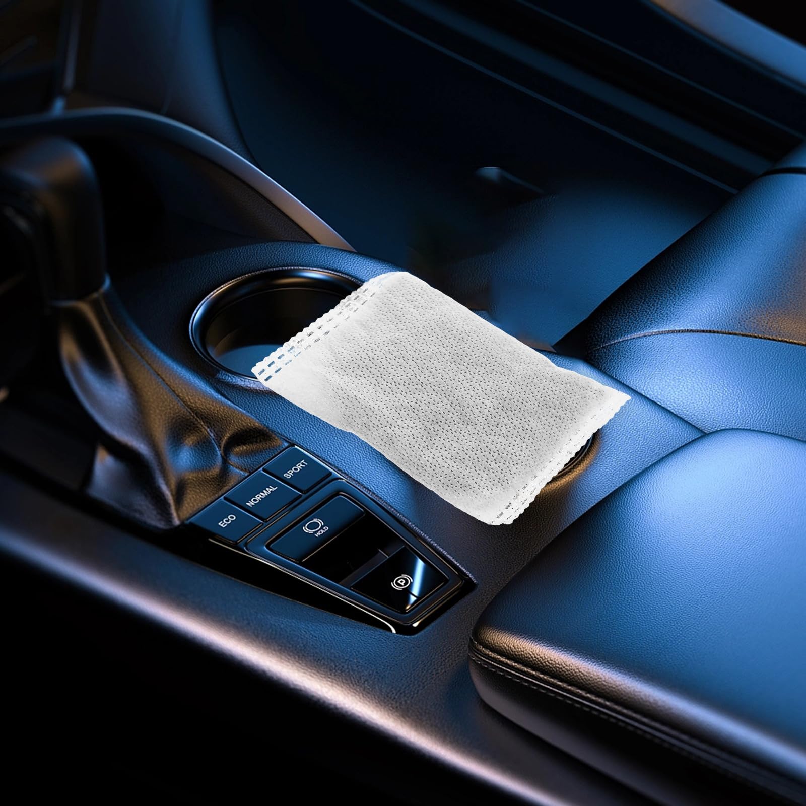 Buste Deodoranti in Carbone Attivo 10 Pezzi per Aria, Bianco