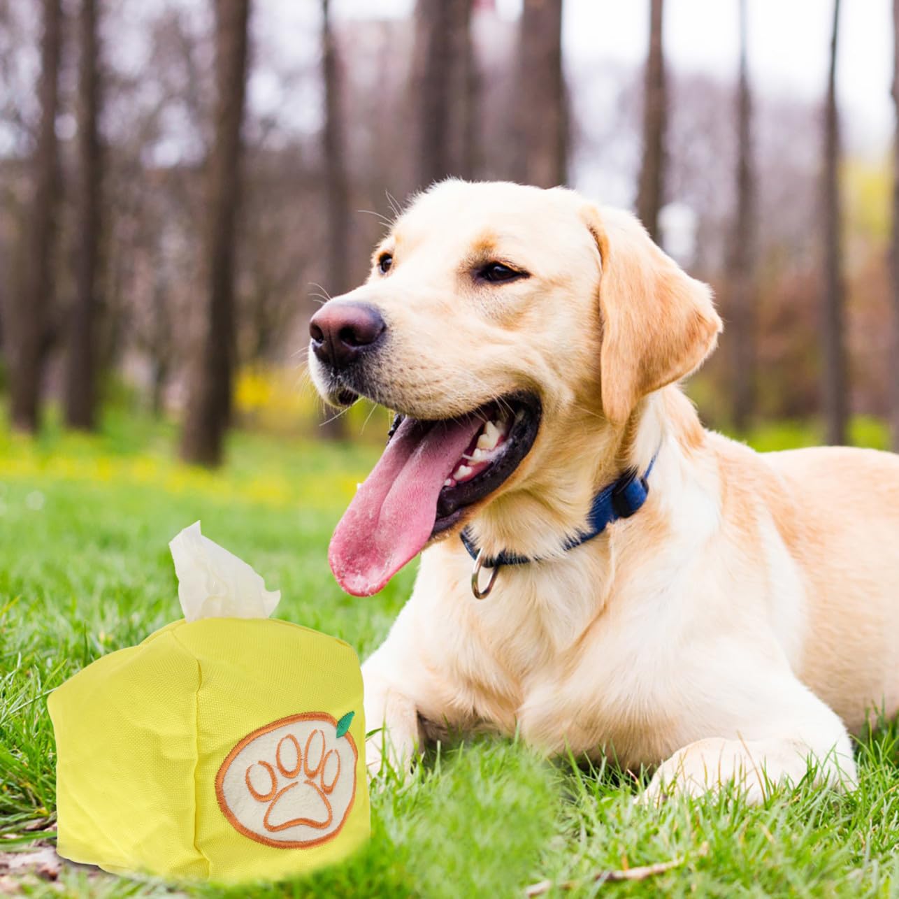 SUPVOX 4piezas Juguete Interactivo para Perros Caja para Olfateo y Forrajeo Entrenamiento De Olores para Mascotas Juguete Divertido para Cachorros Estimula El Ejercicio Energía