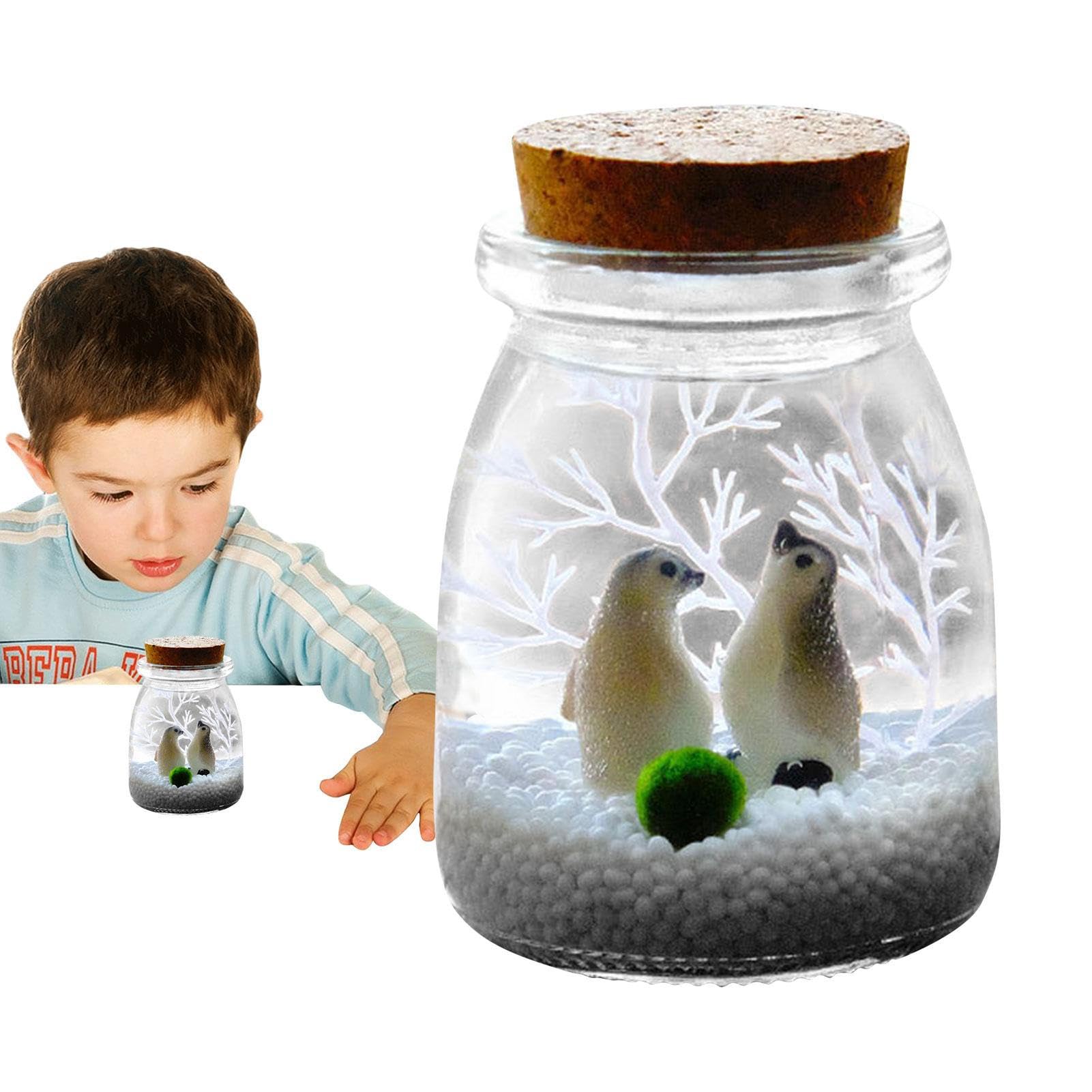 LaLaGreen Glas-Terrarium Für Sukkulenten & Luftpflanzen – Mit Wachstumslicht