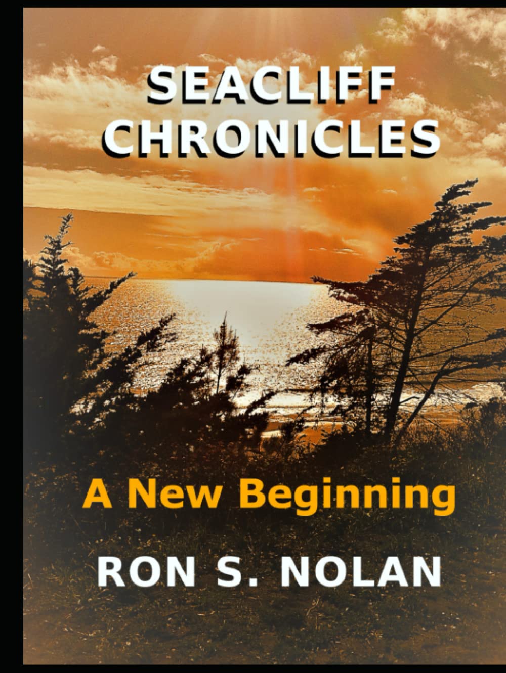 Seacliff Chronicles le cadeau idéal pour les passionnés de lecture