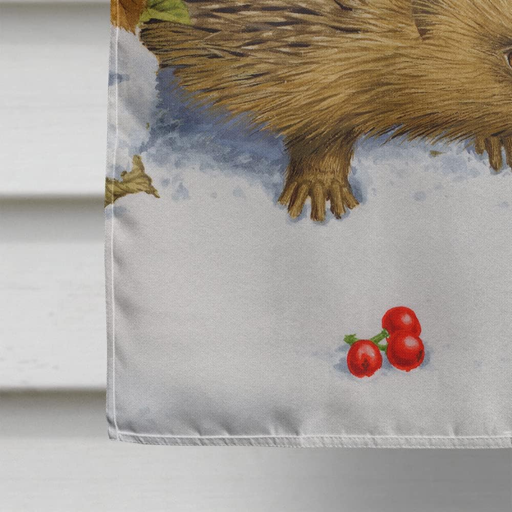 Caroline's Treasures ASA2030CHF Hedgehog and Holly House Flag Large Porch Sleeve Pole Decorative Outside Yard Banner Artwork Wall Hanging, Polyester, House Size, Multicolor