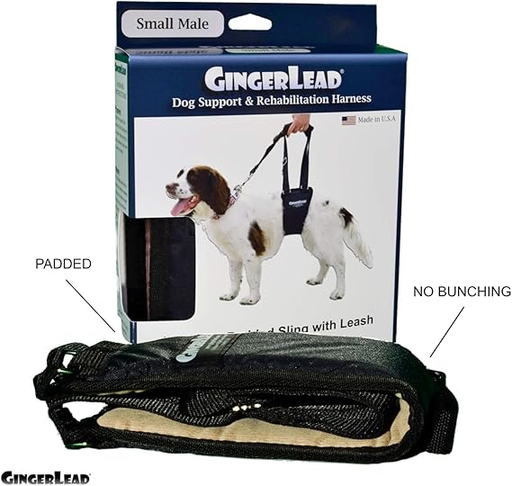 gingerlead dog sling