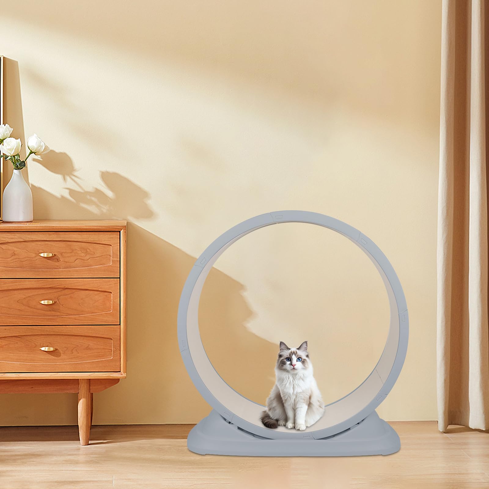 Rueda de ejercicio para gatos 80 cm, cinta de correr para gatos, cojines de rascado, cinta de correr de seguridad, gatito, para correr, caminar, entrenamiento (gris)