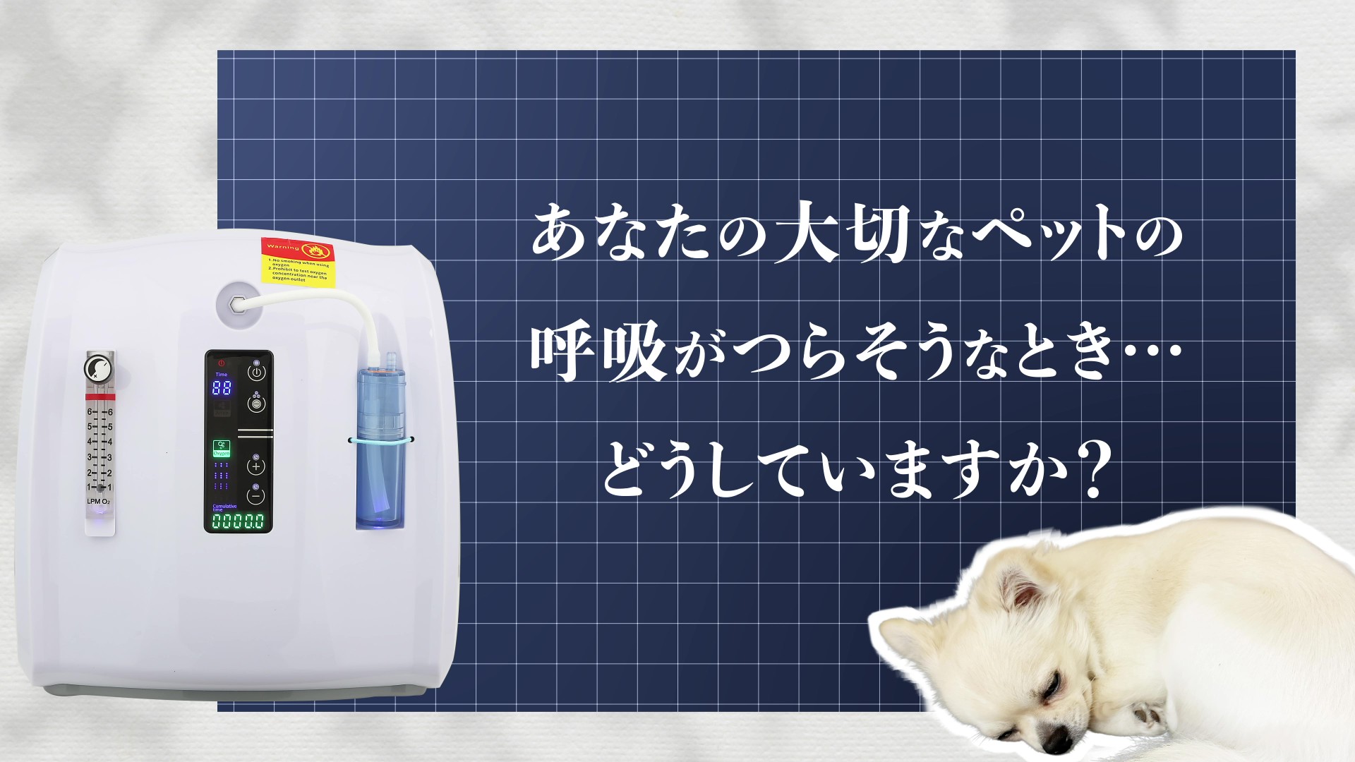 Amazon | 【獣医師監修】 小型犬・小型動物対応 酸素発生器 ペット MAF