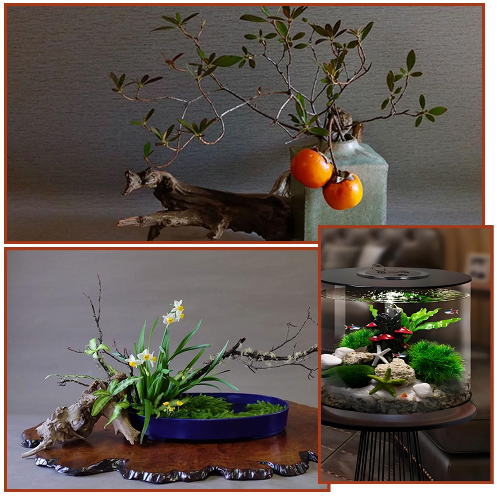 Decoratie Boomstam Houten Stok, Drijfhout voor Aquarium, 3 Natuurlijke Aquarium Boomwortel, Realistisch Reptiel Fish Tank Decor, Massief Reptiel Houten Takken Terrarium Decor, Schildpad Tank Hout Boom