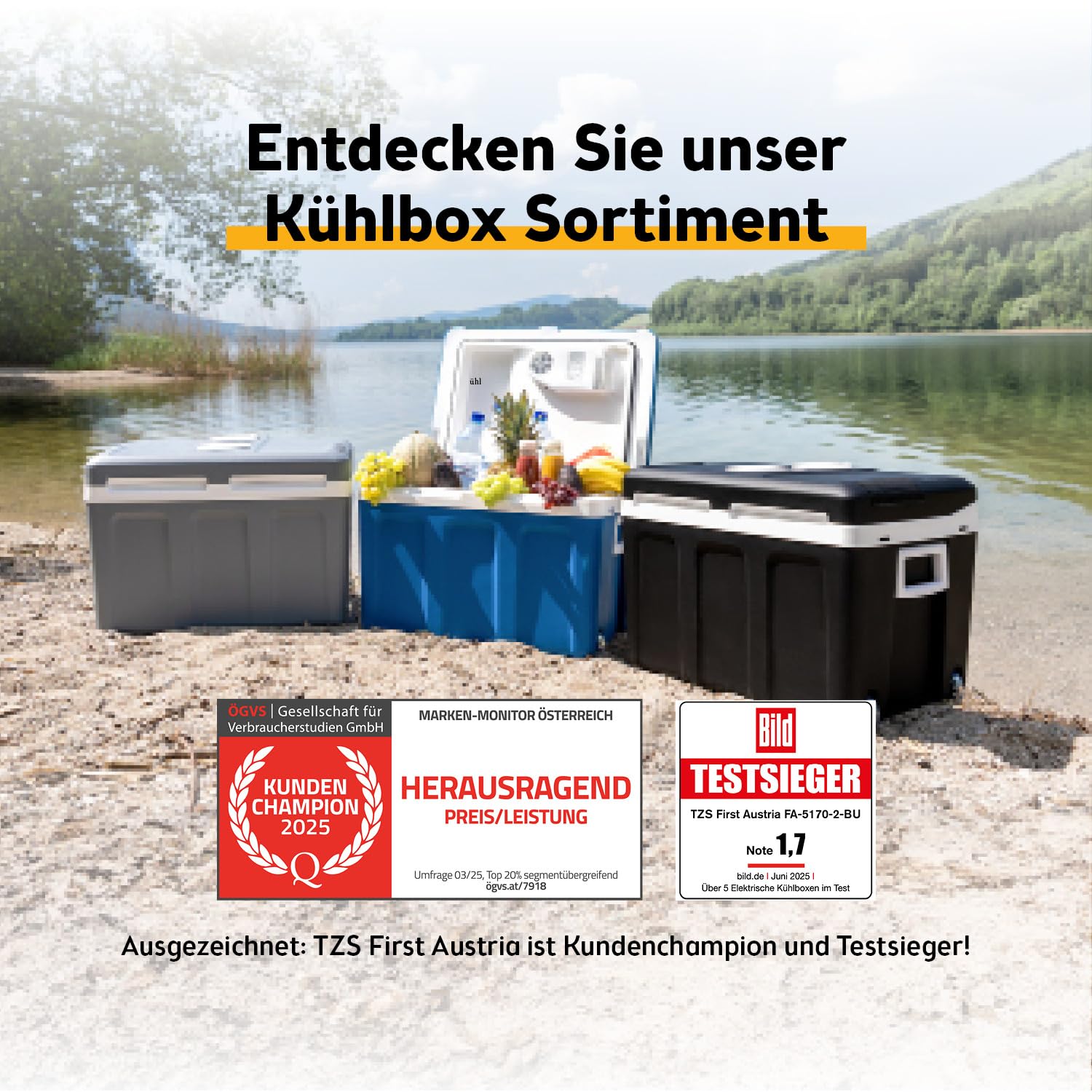 TZS First Austria - Kühlbox 45L elektrisch 12V 230V Anschluss für Auto & Steckdose - Thermoelektrische Cool Box kühlt & wärmt - Mini Kühlschrank mit Rollen - Für Camping, Festivals, Reisen - Grau