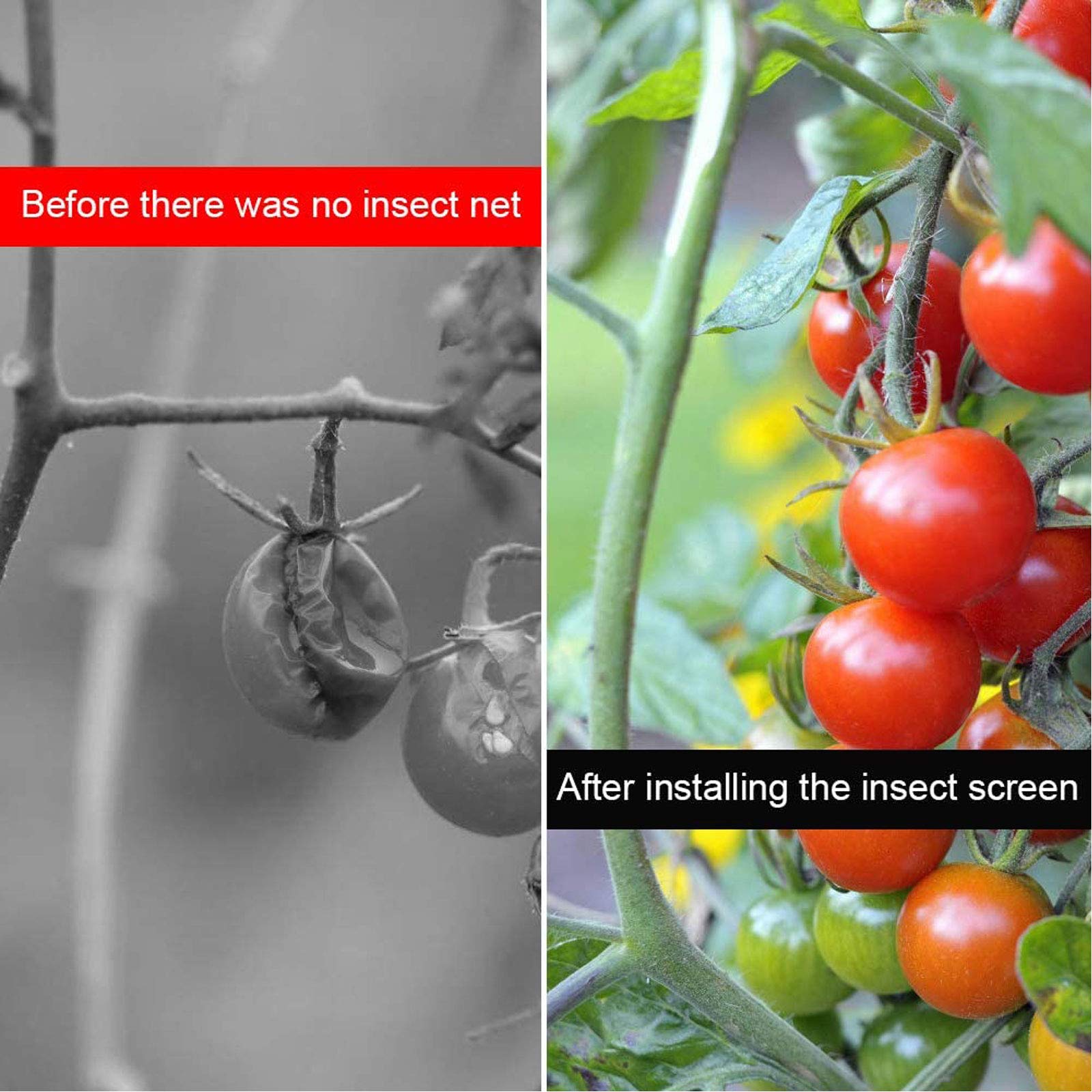 Filet de protection contre les insectes de jardin - Maille fine pour protéger les légumes, les fruits et les fleurs contre les parasites et les oiseaux