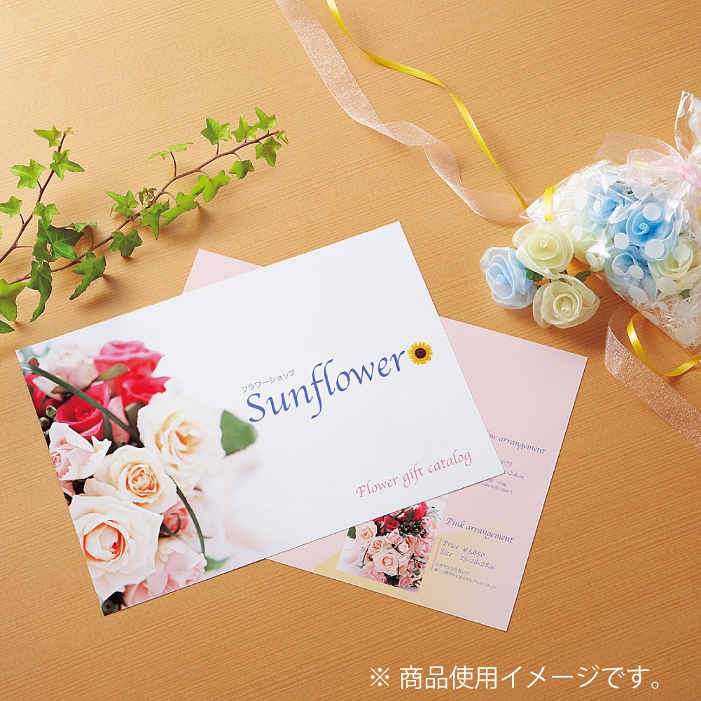 Kokuyo dwustronny papier fotograficzny błyszczący B5 10 sztuk KJ-G23B5-10 (import z Japonii)