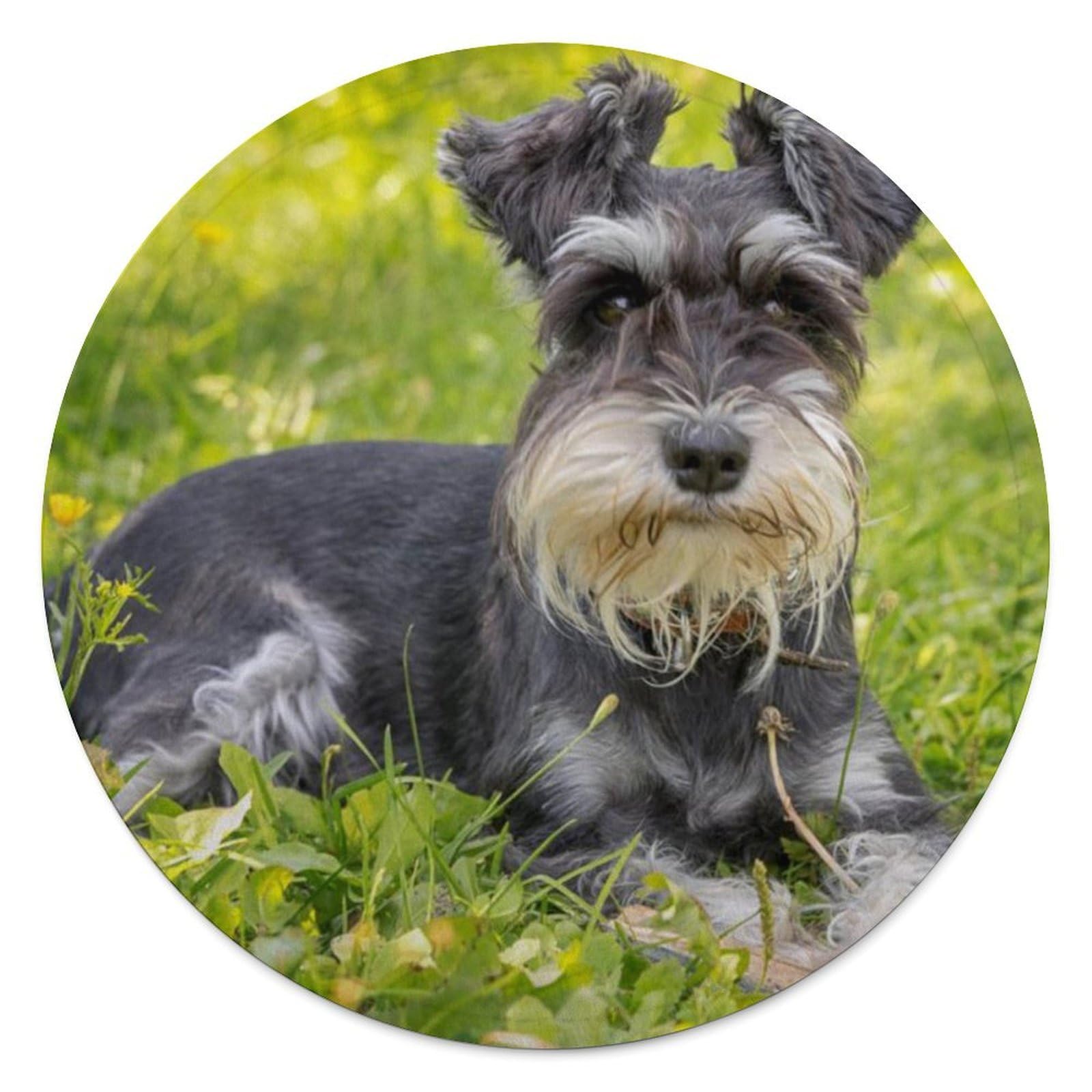 Couverture ronde flanelle schnauzer, le cadeau idéal pour les amoureux de chiens