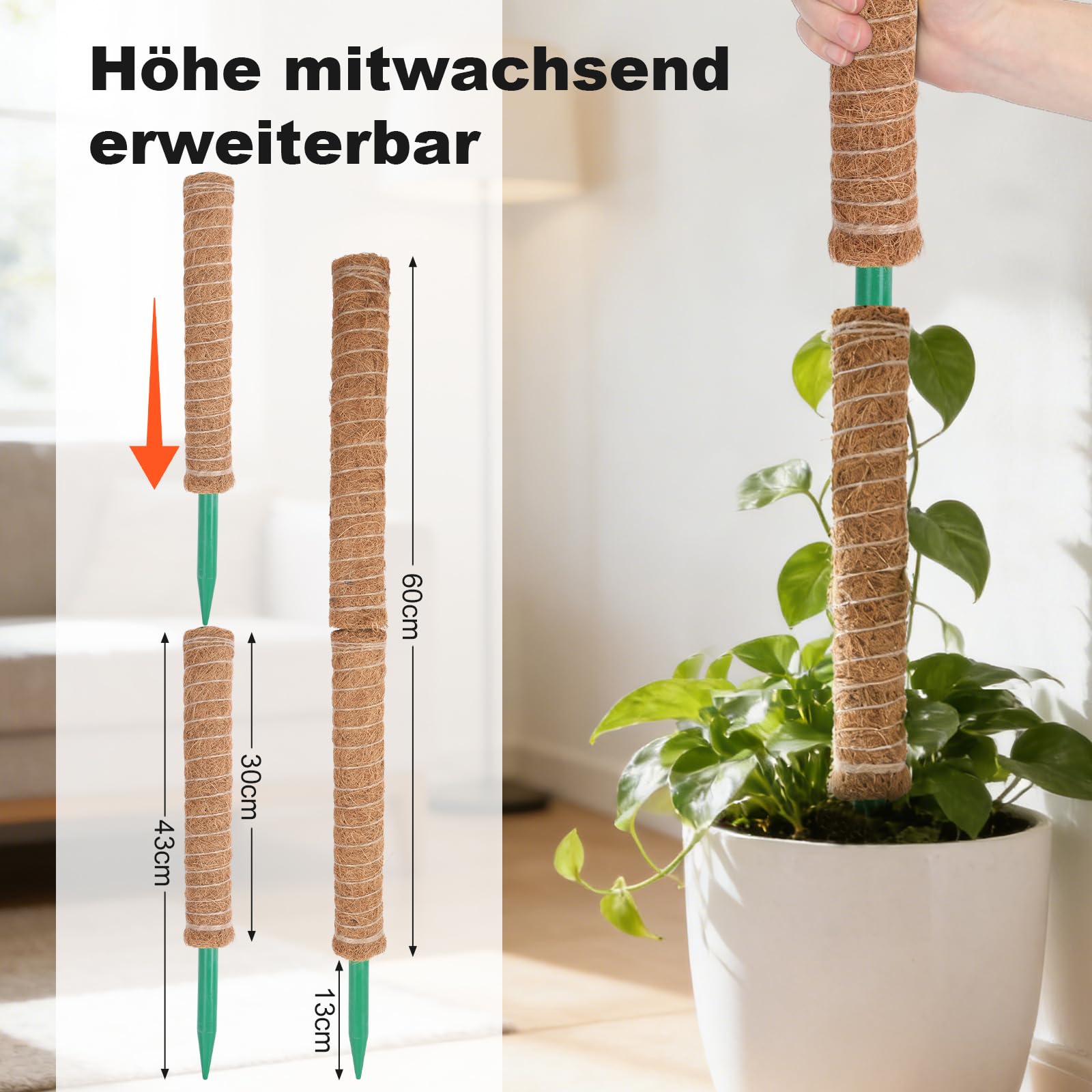 HOVIN Soporte trepador para Monstera de coco – 4 tutores extensibles de musgo, 40 cm – Para plantas trepadoras en interiores y jardines