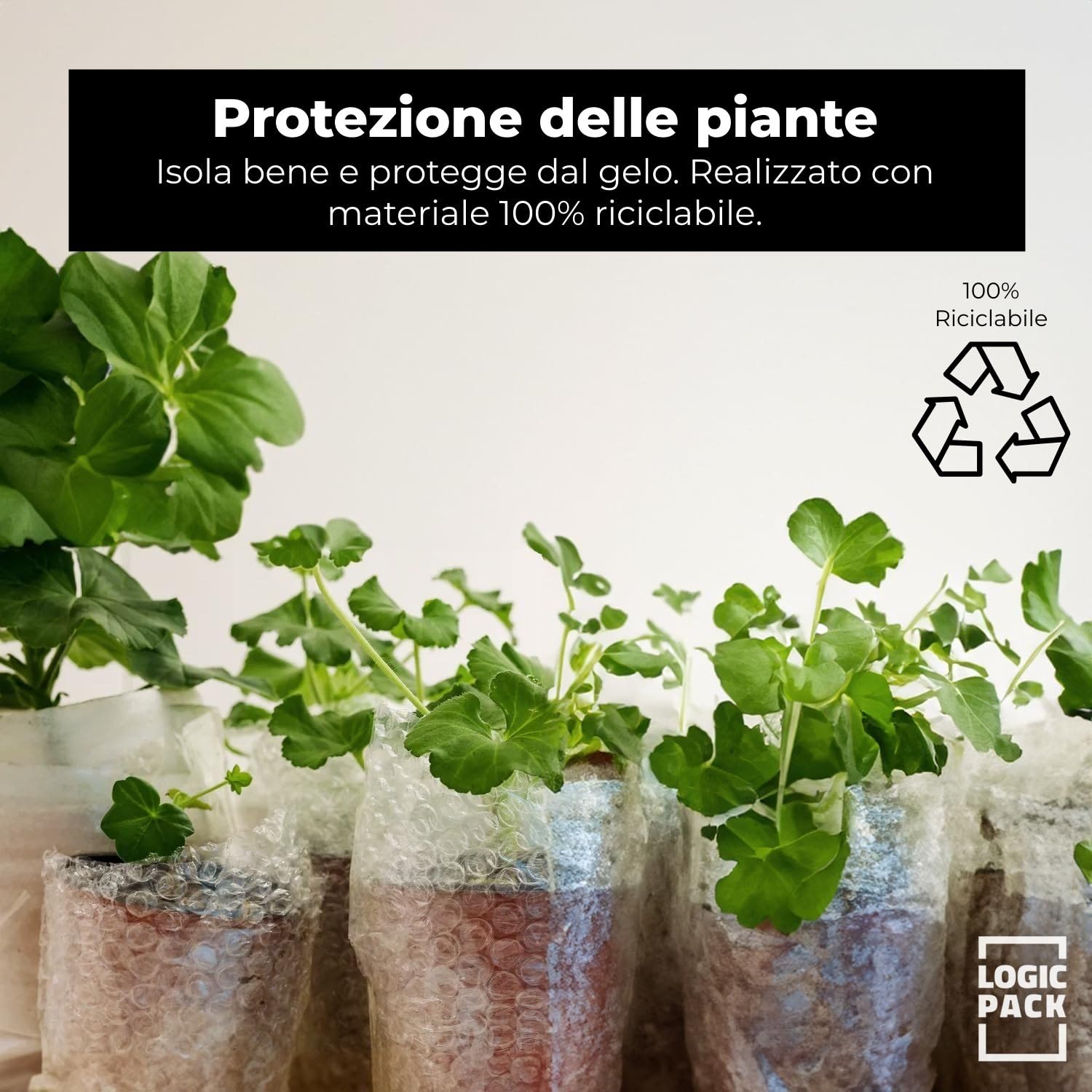 2x Pluriball per Imballaggio e Spedizione - Rotolo Millebolle 100 m x 30 cm - Film Protettivo a 2 Strati Antistrappo e Antiurto - Ideale per Trasloco, Trasporto e Oggetti Fragili