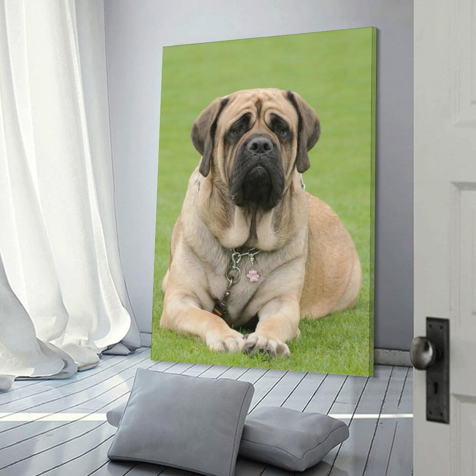 Junmoney English Mastiff Dog Breed Information Canvas Art Print, 20x30inch(50x75cm), for Picture Wall Styling in Lounge Or Bedroom, Wall Decor Suited to Curated Displays