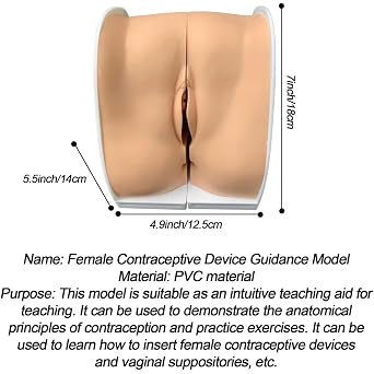 Female Gynecological Manikin Model, Female Genitals Anatomy Model Human Model Training Model for Teaching and Presentation