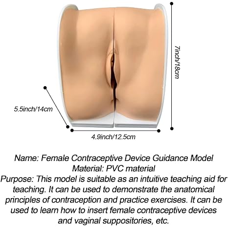 Female Gynecological Manikin Model, Female Genitals Anatomy Model Human Model Training Model for Teaching and Presentation