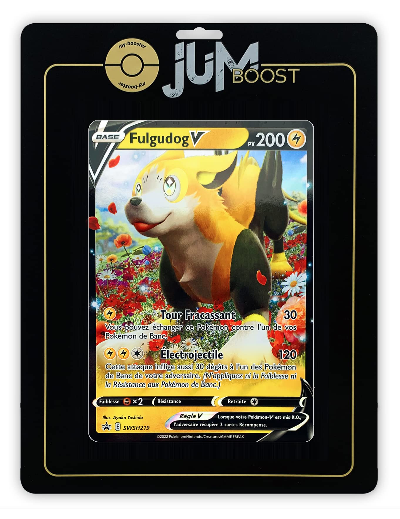 My-booster Pokémon Karten Box Französisch – SWSH06 Eis-Reich, 10 Karten, Ultra Rare